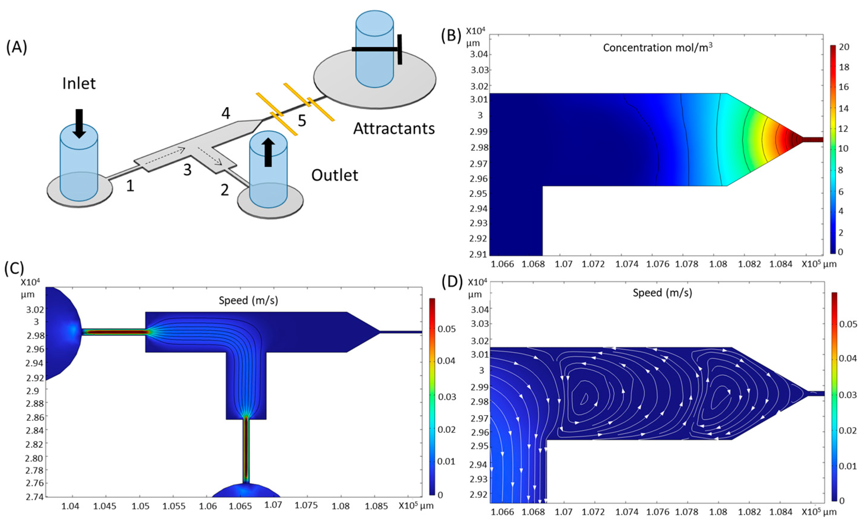 Biosensors 15 00131 g005