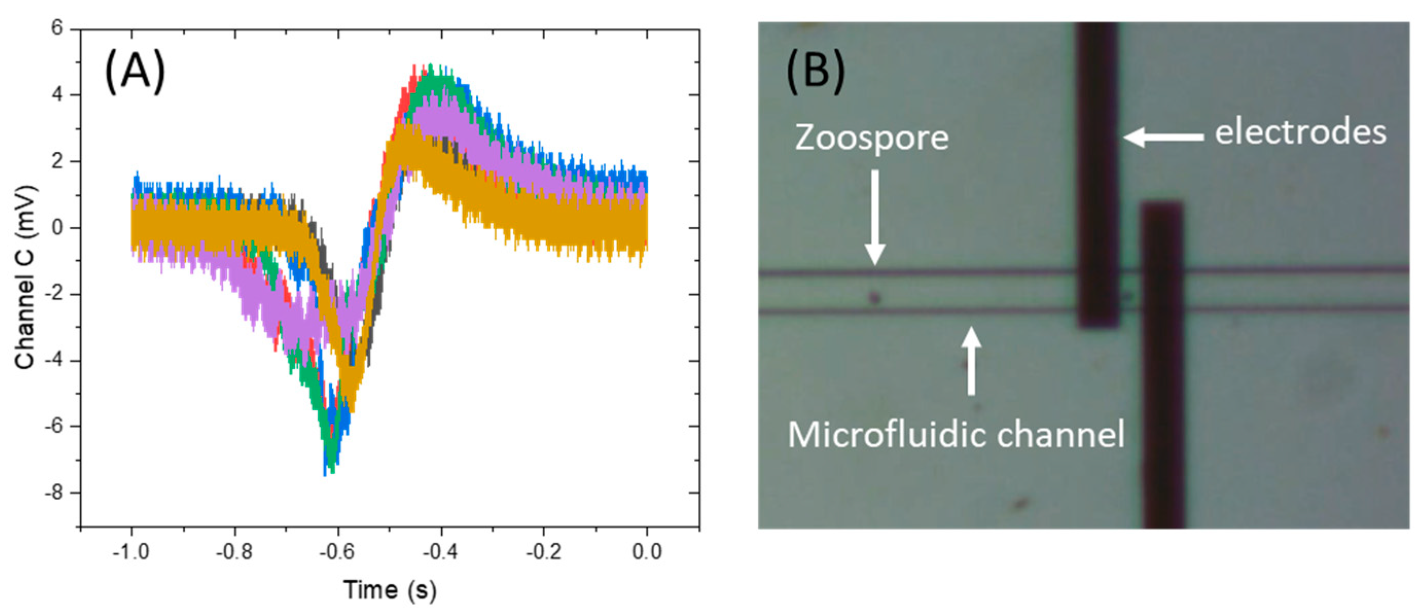 Biosensors 15 00131 g006