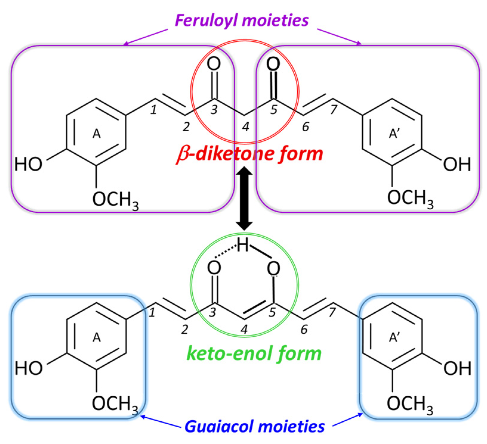 Biosensors 15 00137 g001