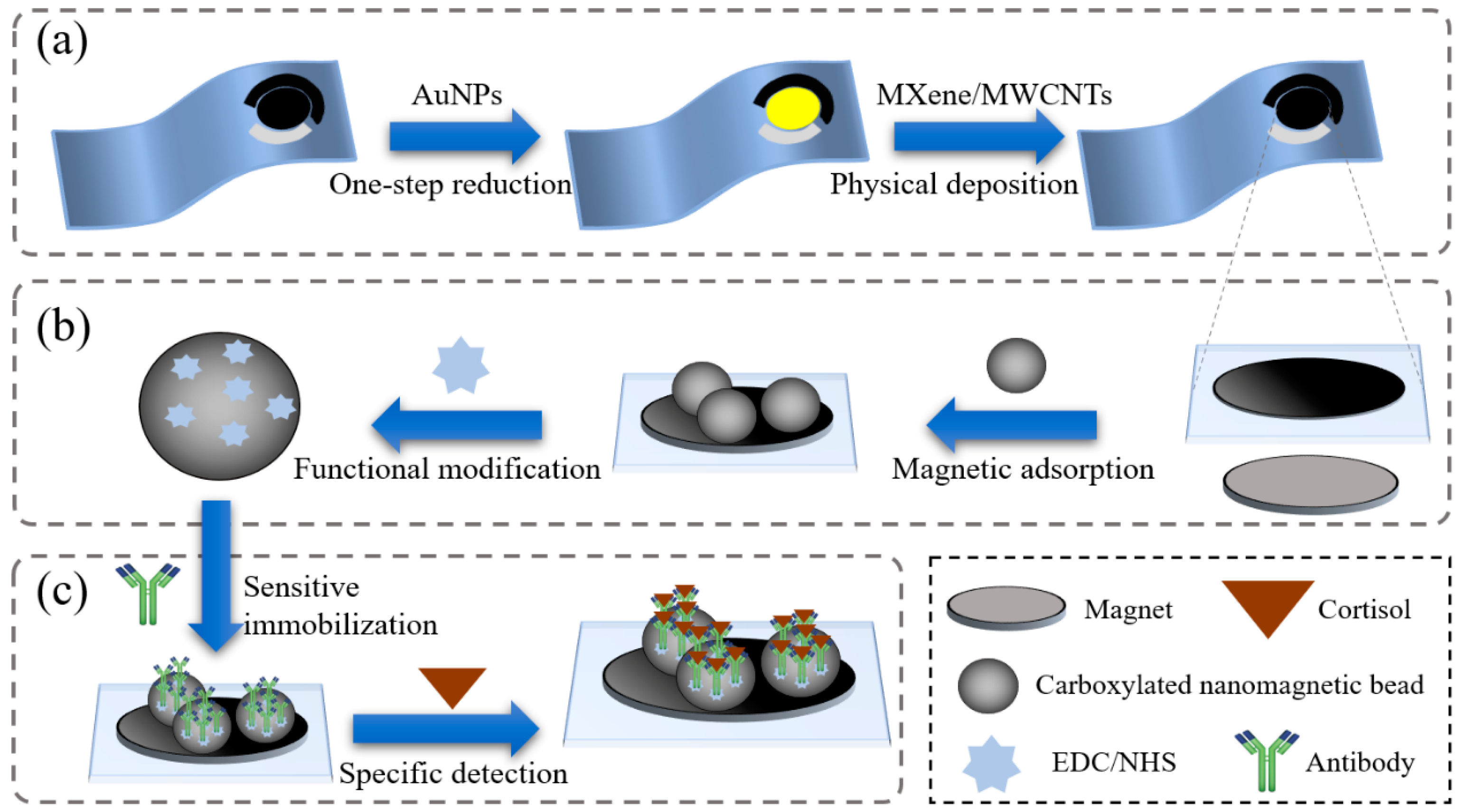 Biosensors 15 00140 g001