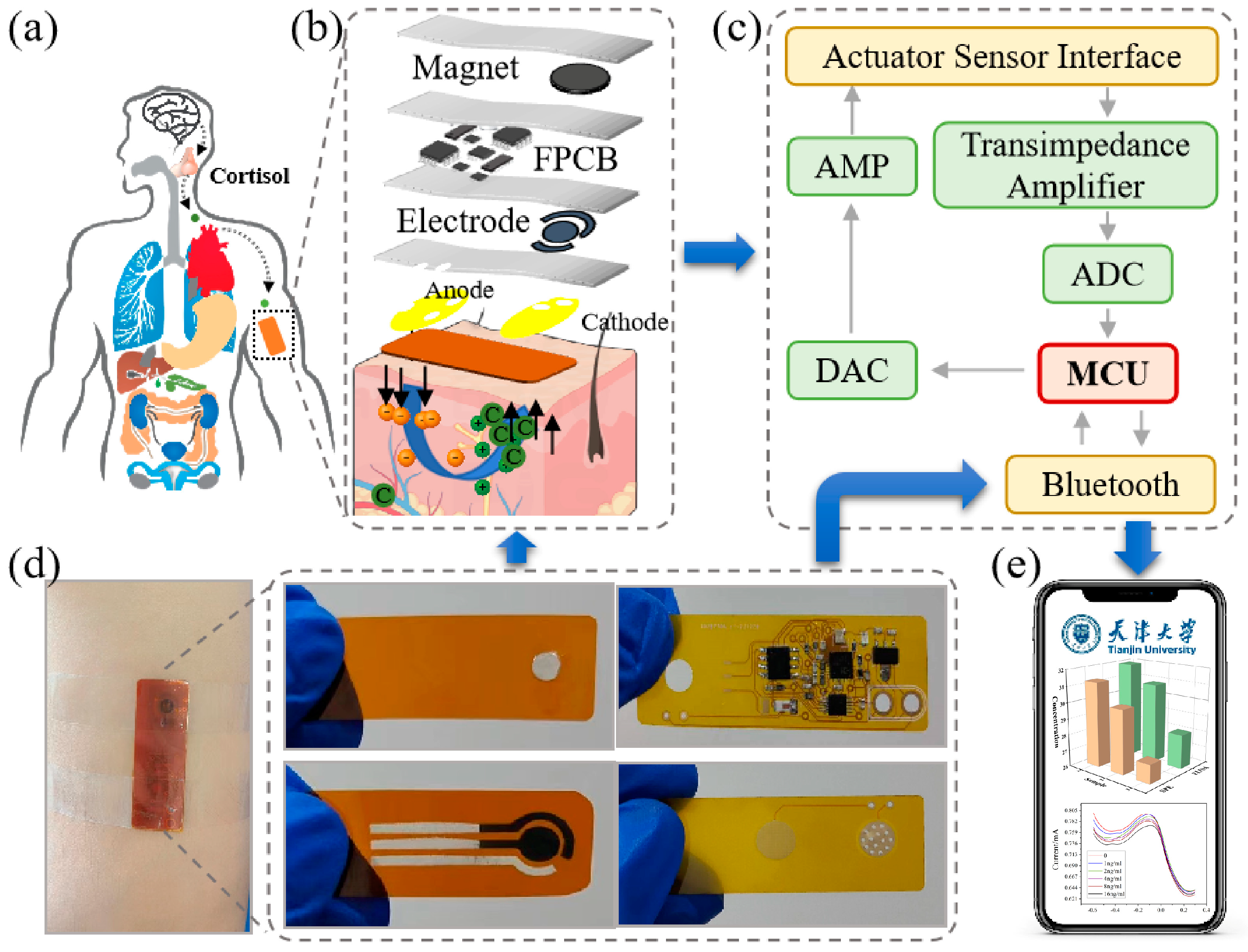 Biosensors 15 00140 g002