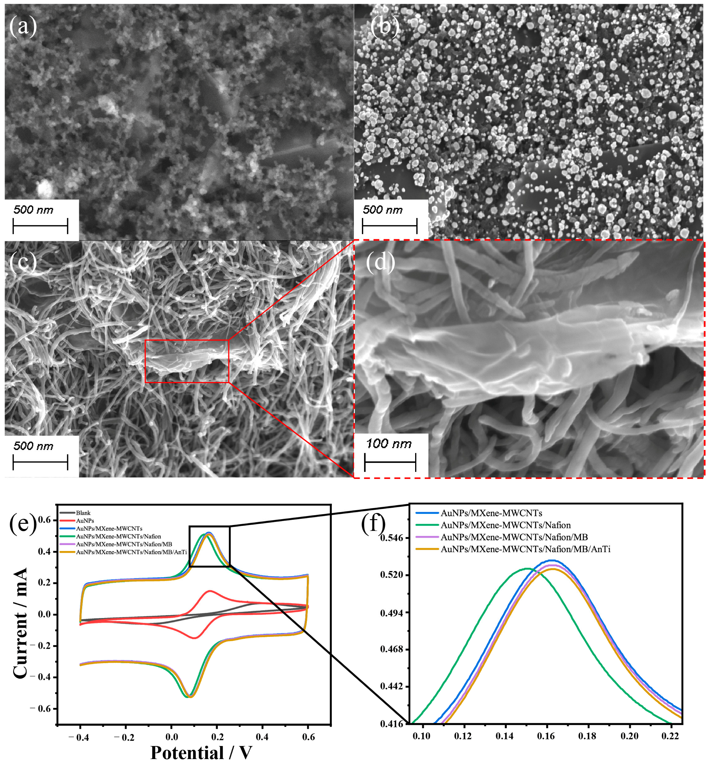 Biosensors 15 00140 g004