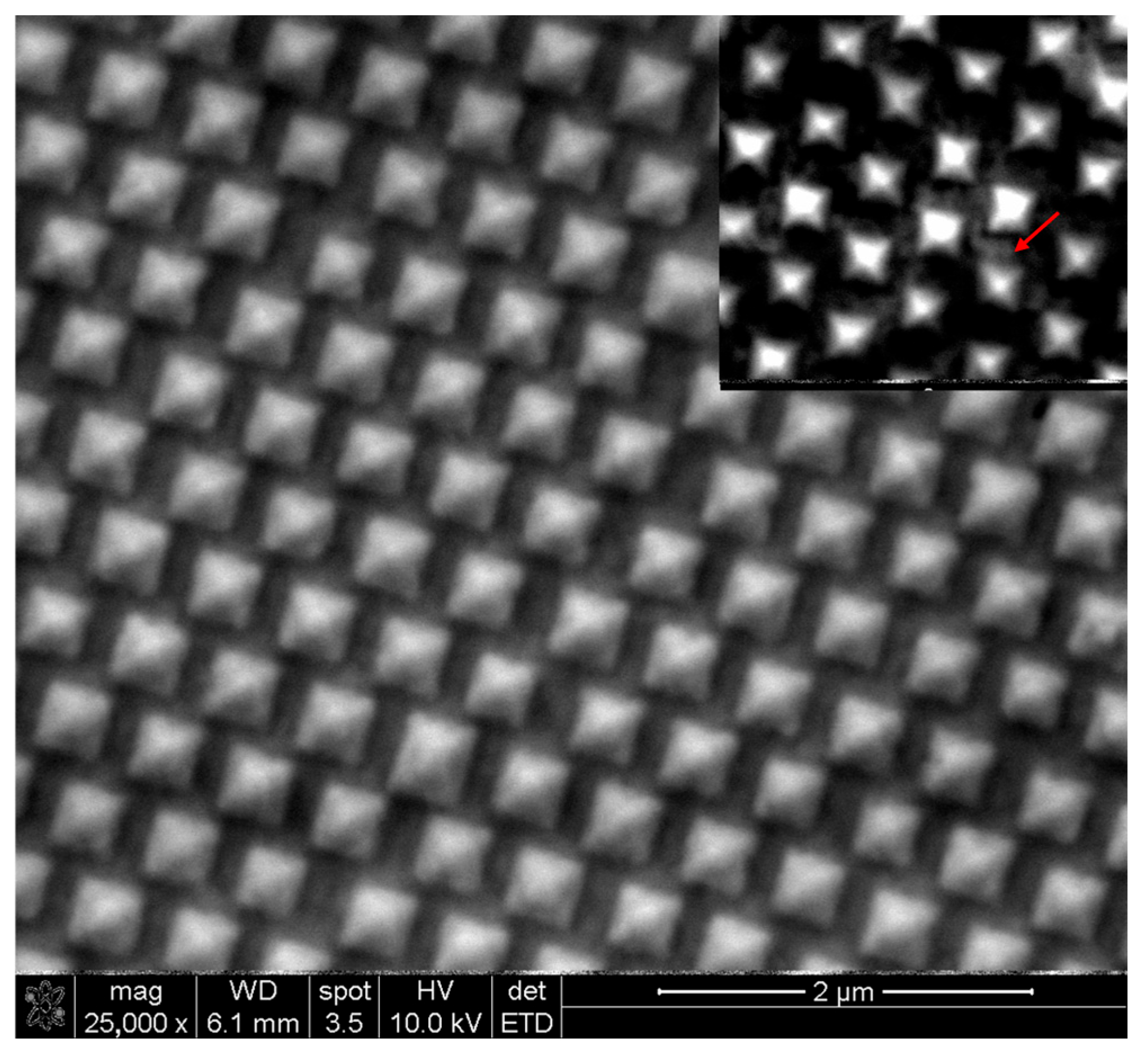 Biosensors 15 00141 g002