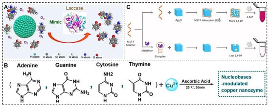 Biosensors 15 00142 g005