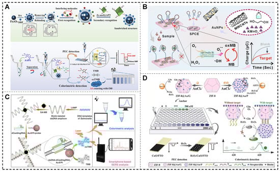 Biosensors 15 00142 g008