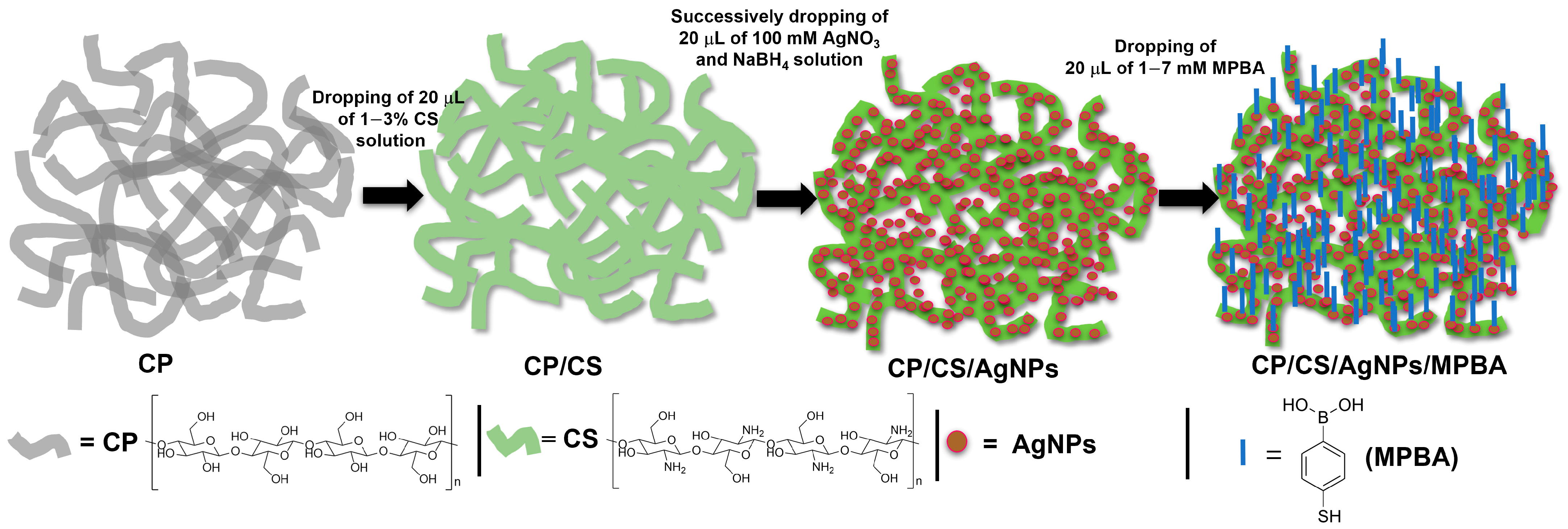 Biosensors 15 00153 g001