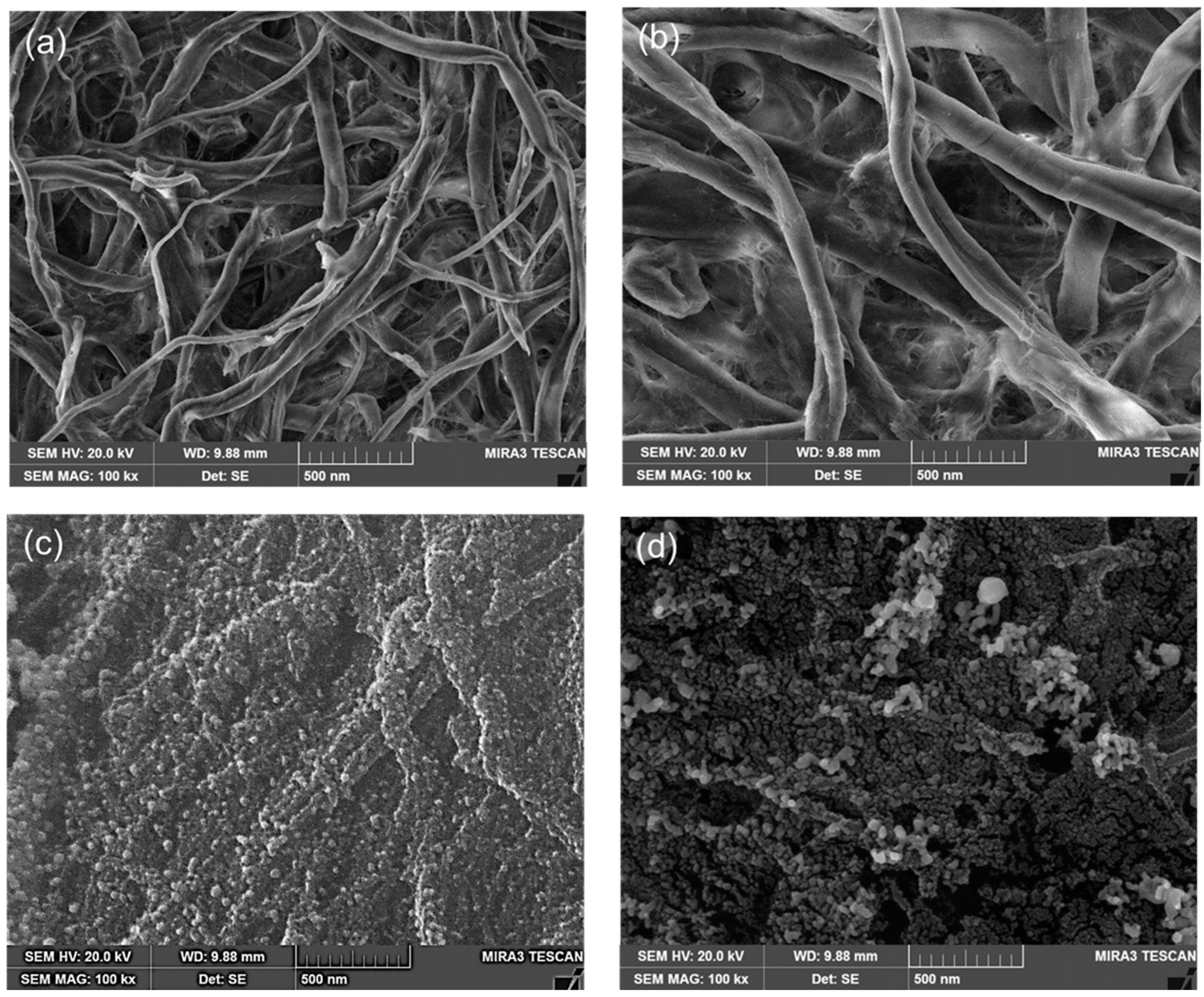 Biosensors 15 00153 g002