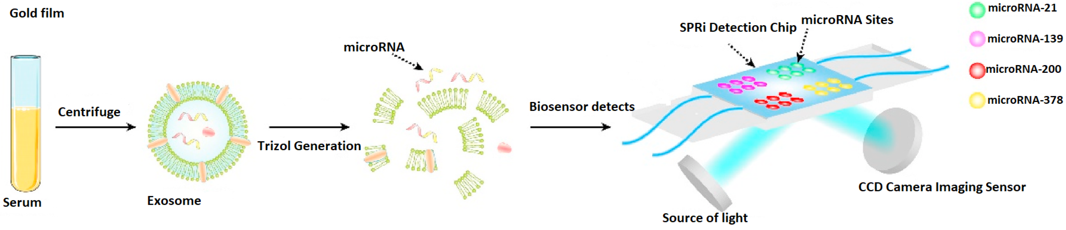 Biosensors 15 00159 g004 Biosensors 15 00159 g004