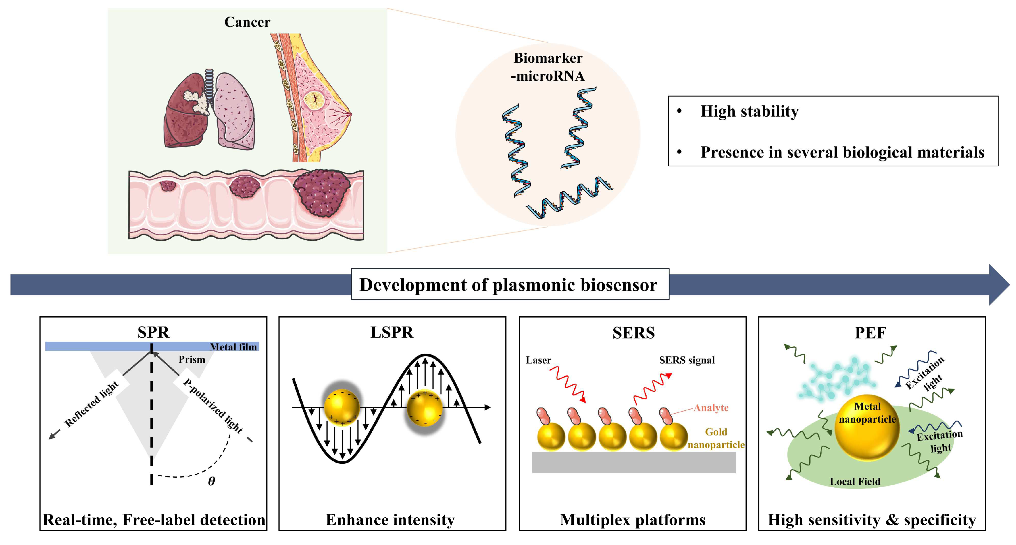 Biosensors 15 00165 g001