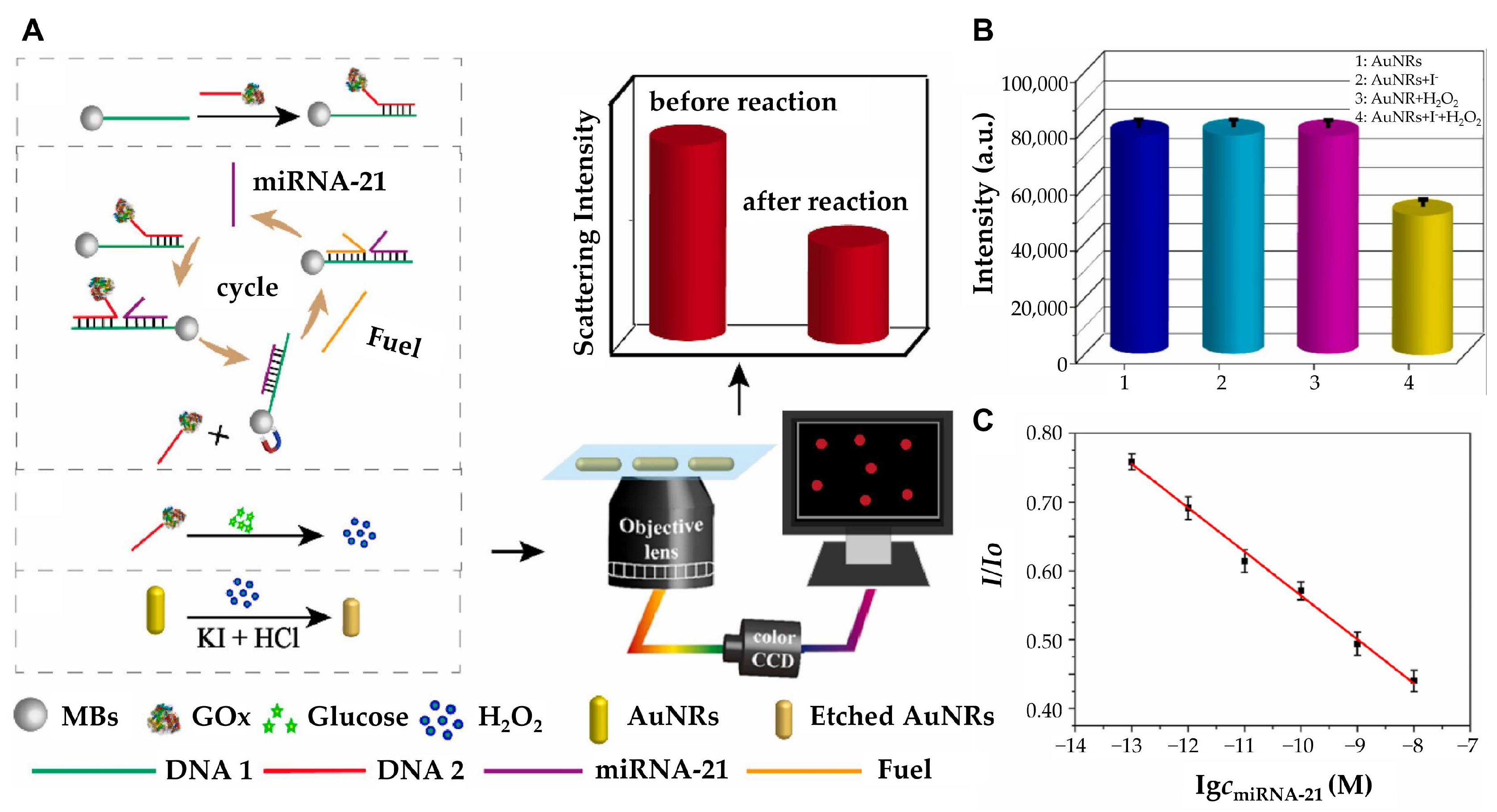 Biosensors 15 00165 g003