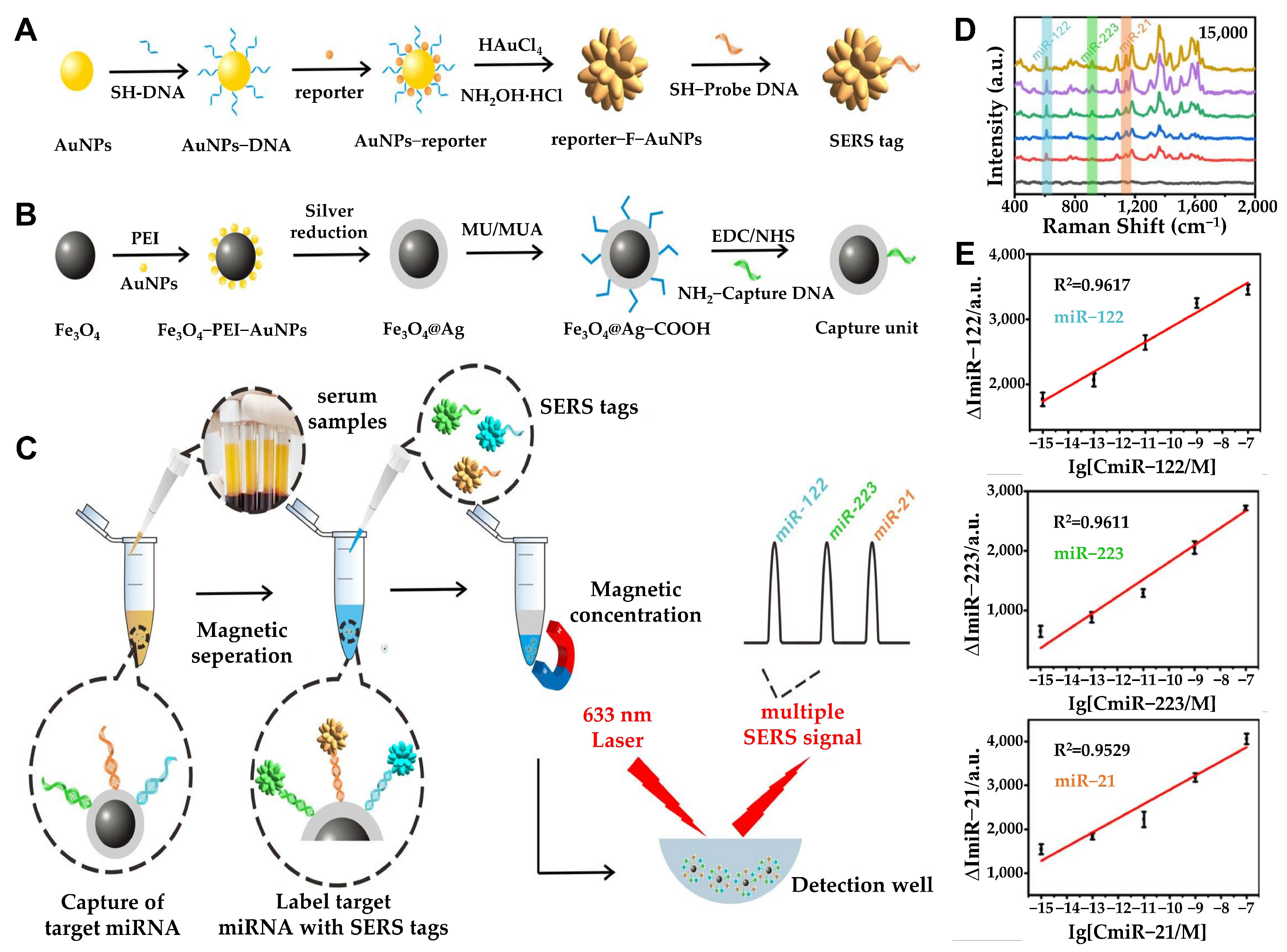 Biosensors 15 00165 g005