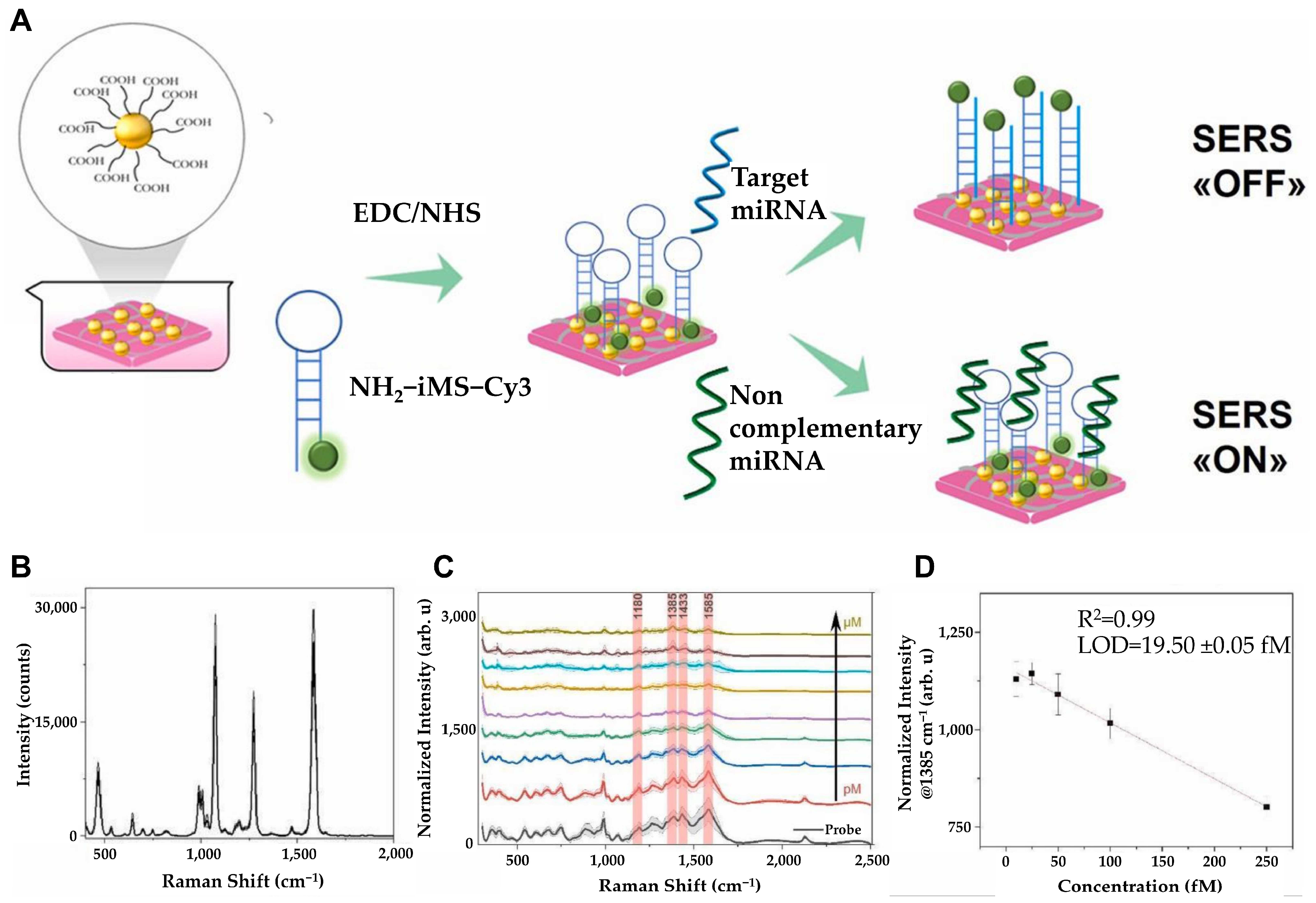 Biosensors 15 00165 g006