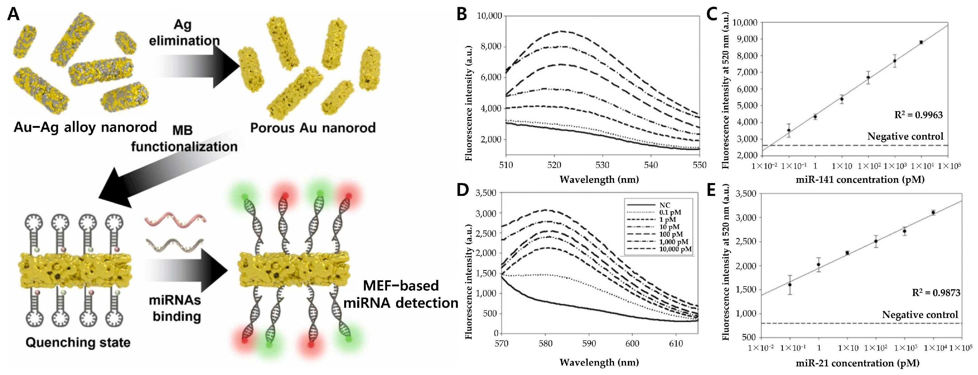 Biosensors 15 00165 g007