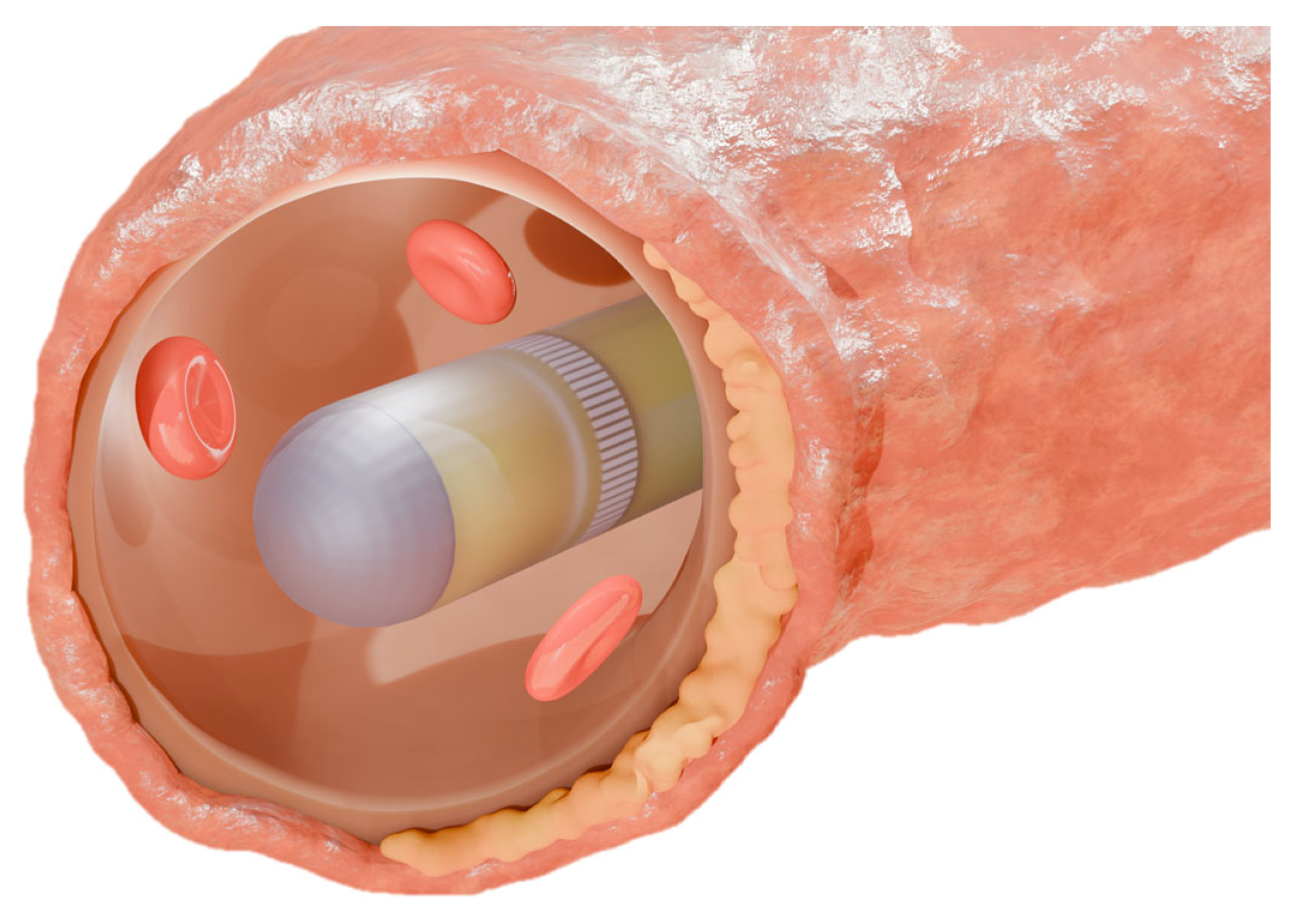 Biosensors 15 00169 g001