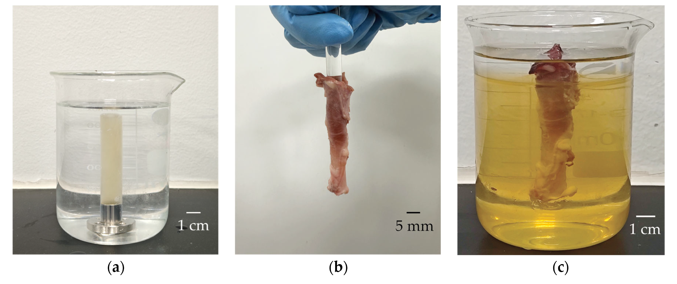 Biosensors 15 00169 g006