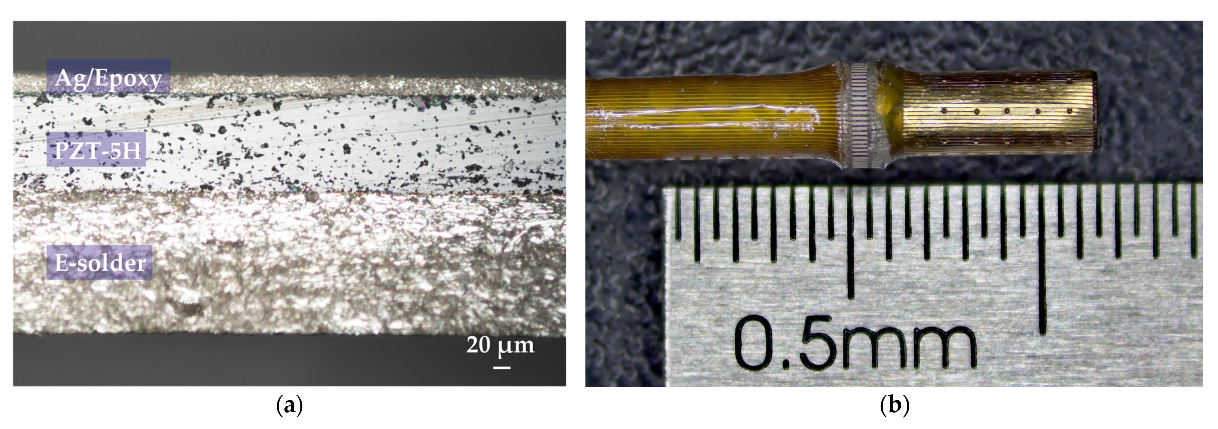 Biosensors 15 00169 g007