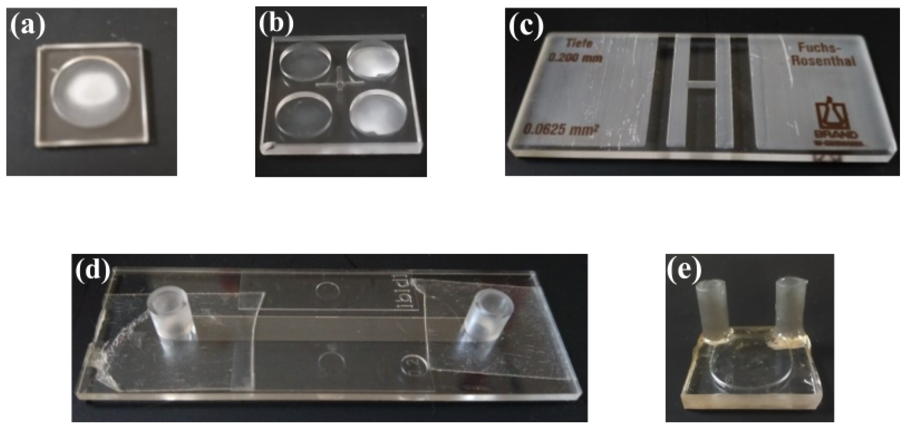 Biosensors 15 00172 g006