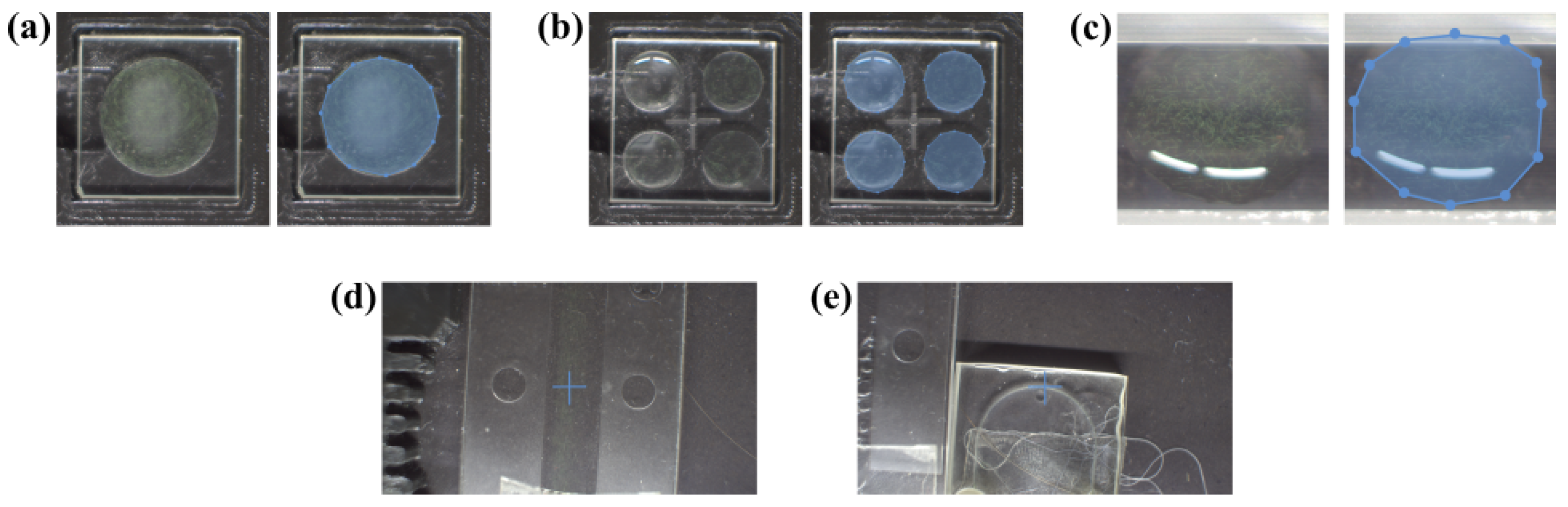 Biosensors 15 00172 g009