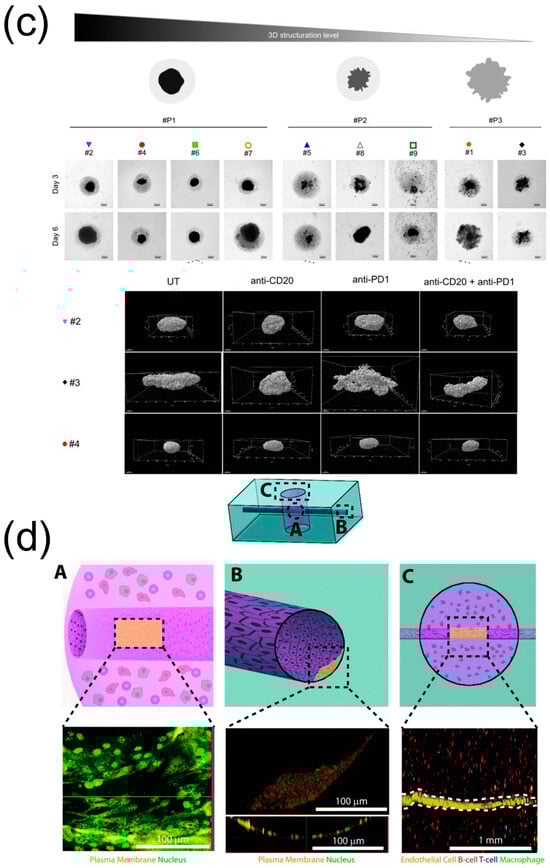Biosensors 15 00176 g003b