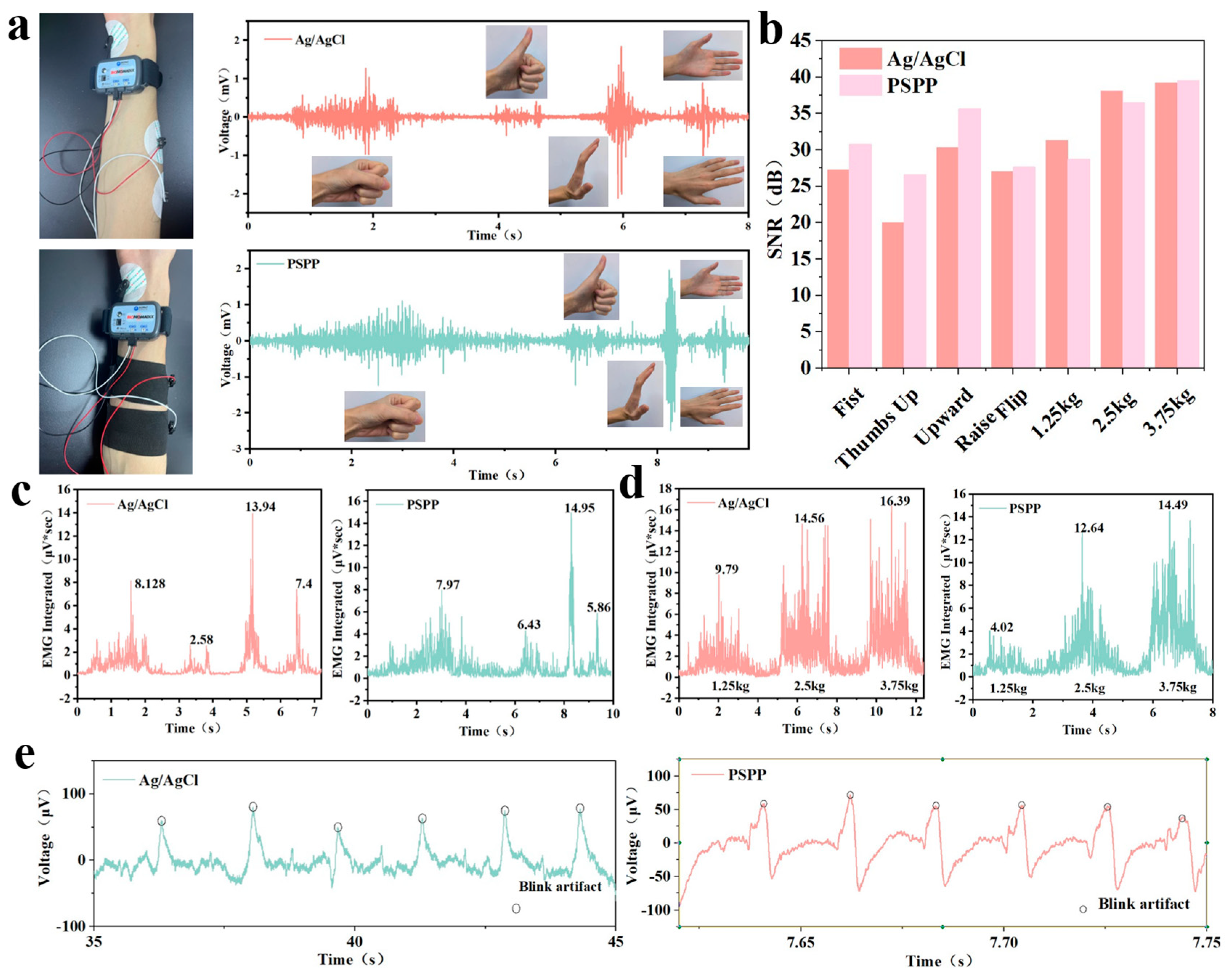 Biosensors 15 00177 g008