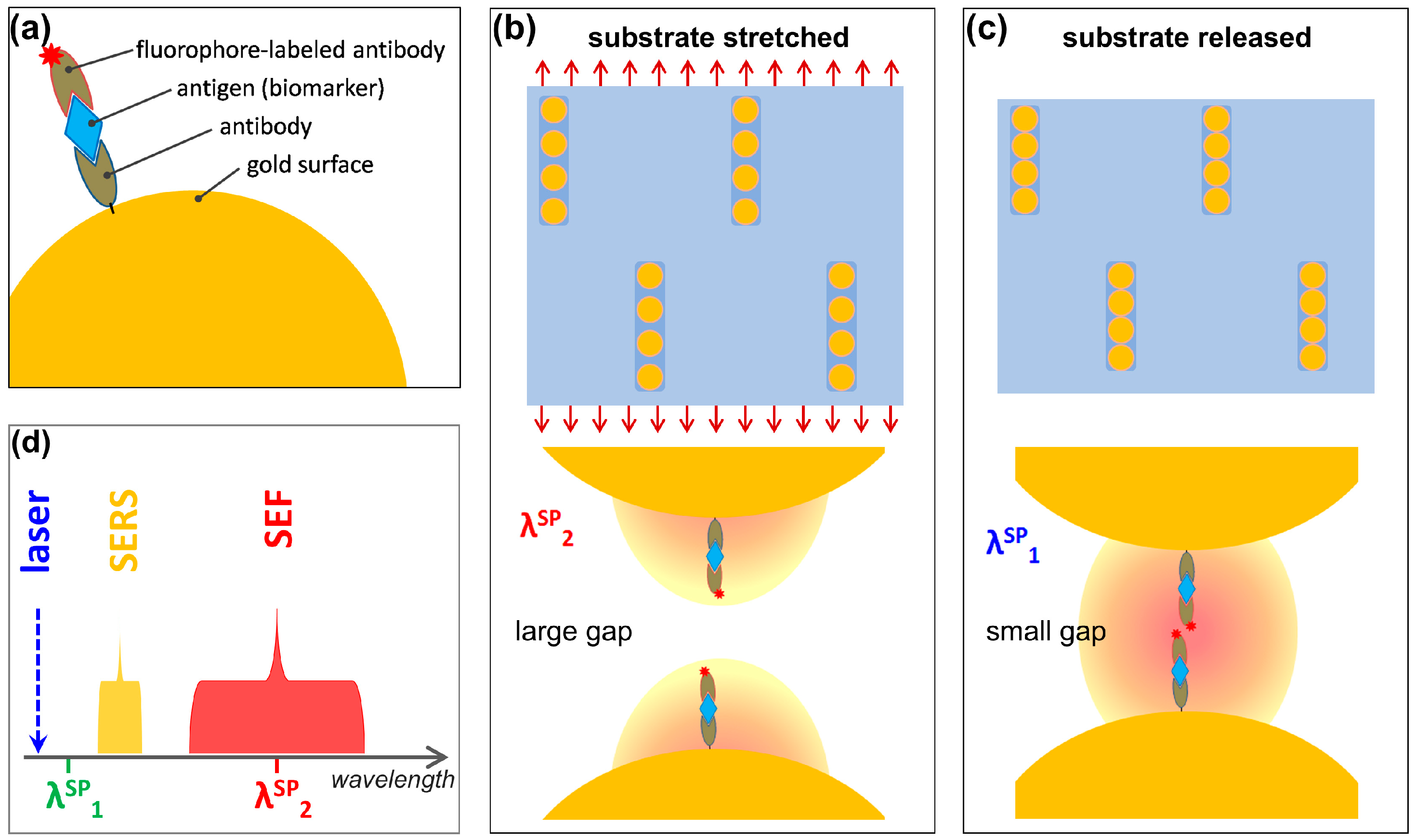 Biosensors 15 00181 g008