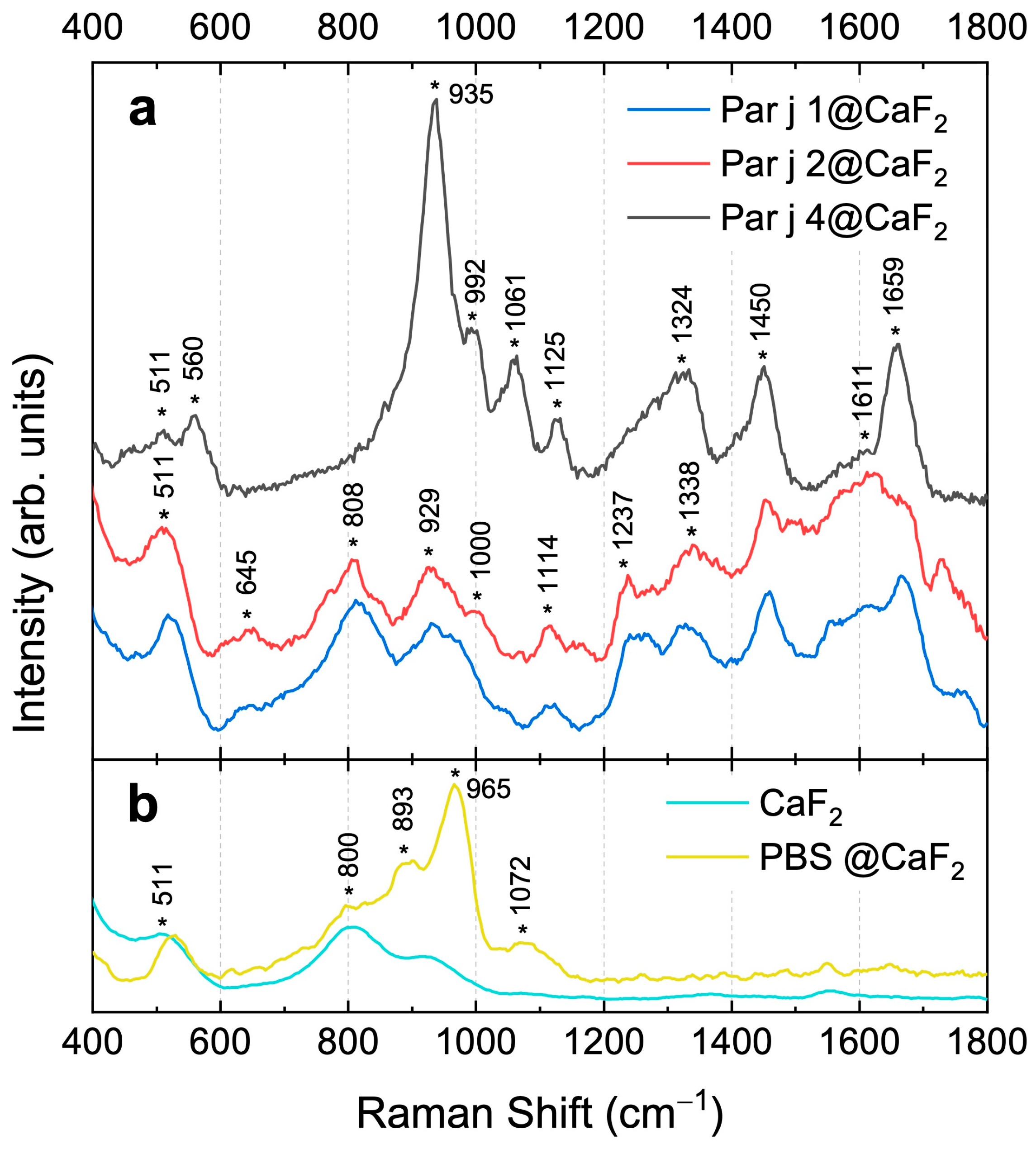 Biosensors 15 00182 g002