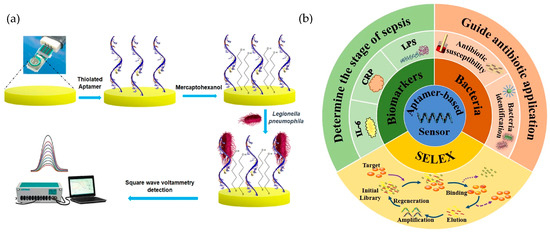 Biosensors 15 00189 g005