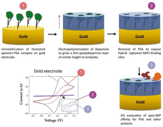 Biosensors 15 00189 g008