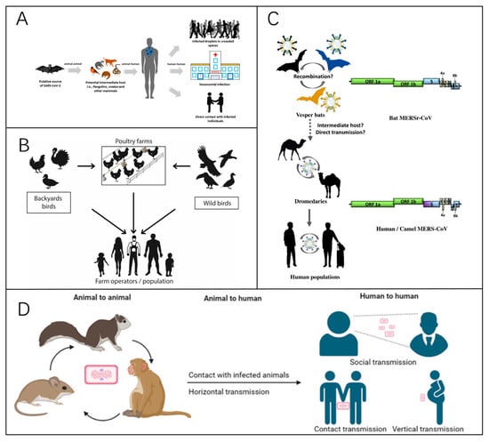 Biosensors 15 00198 g001