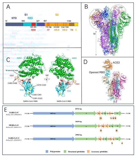 Biosensors 15 00198 g002