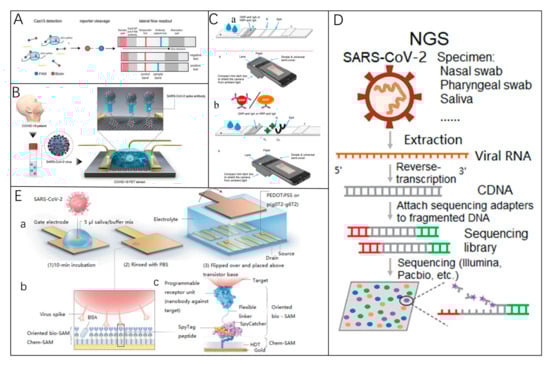Biosensors 15 00198 g007