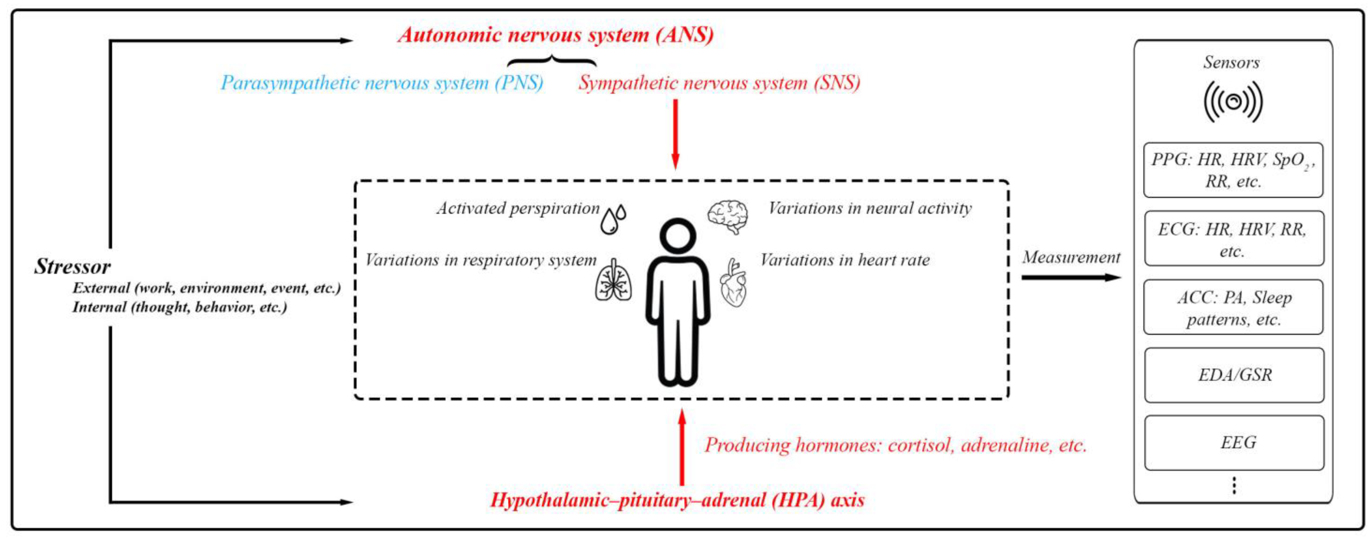 Biosensors 15 00202 g003