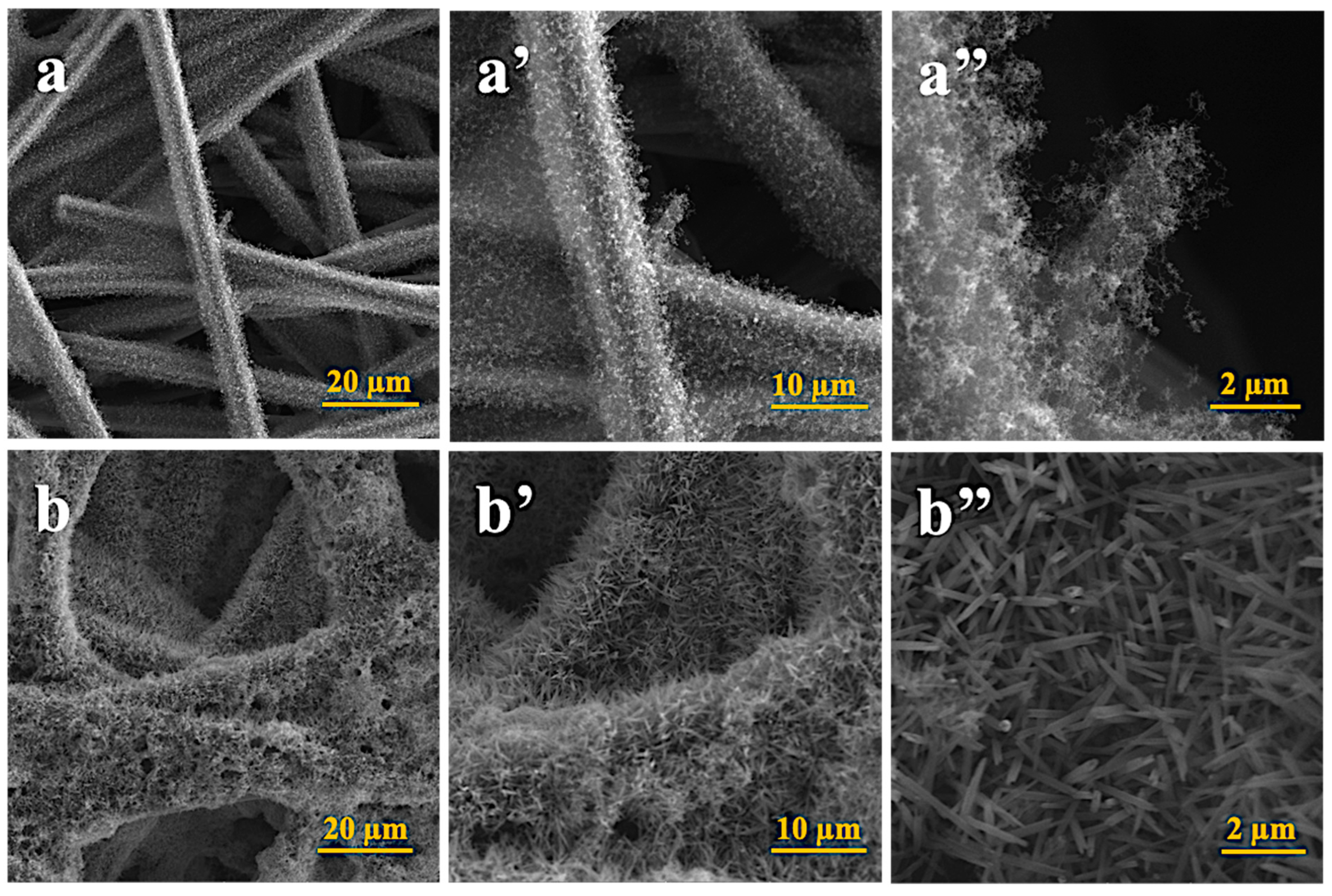 Biosensors 15 00215 g002