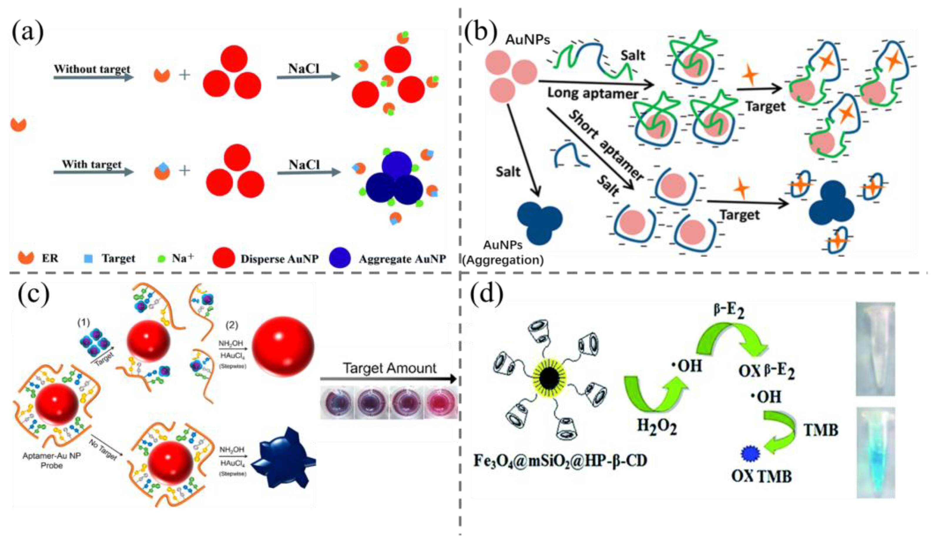 Biosensors 15 00216 g003