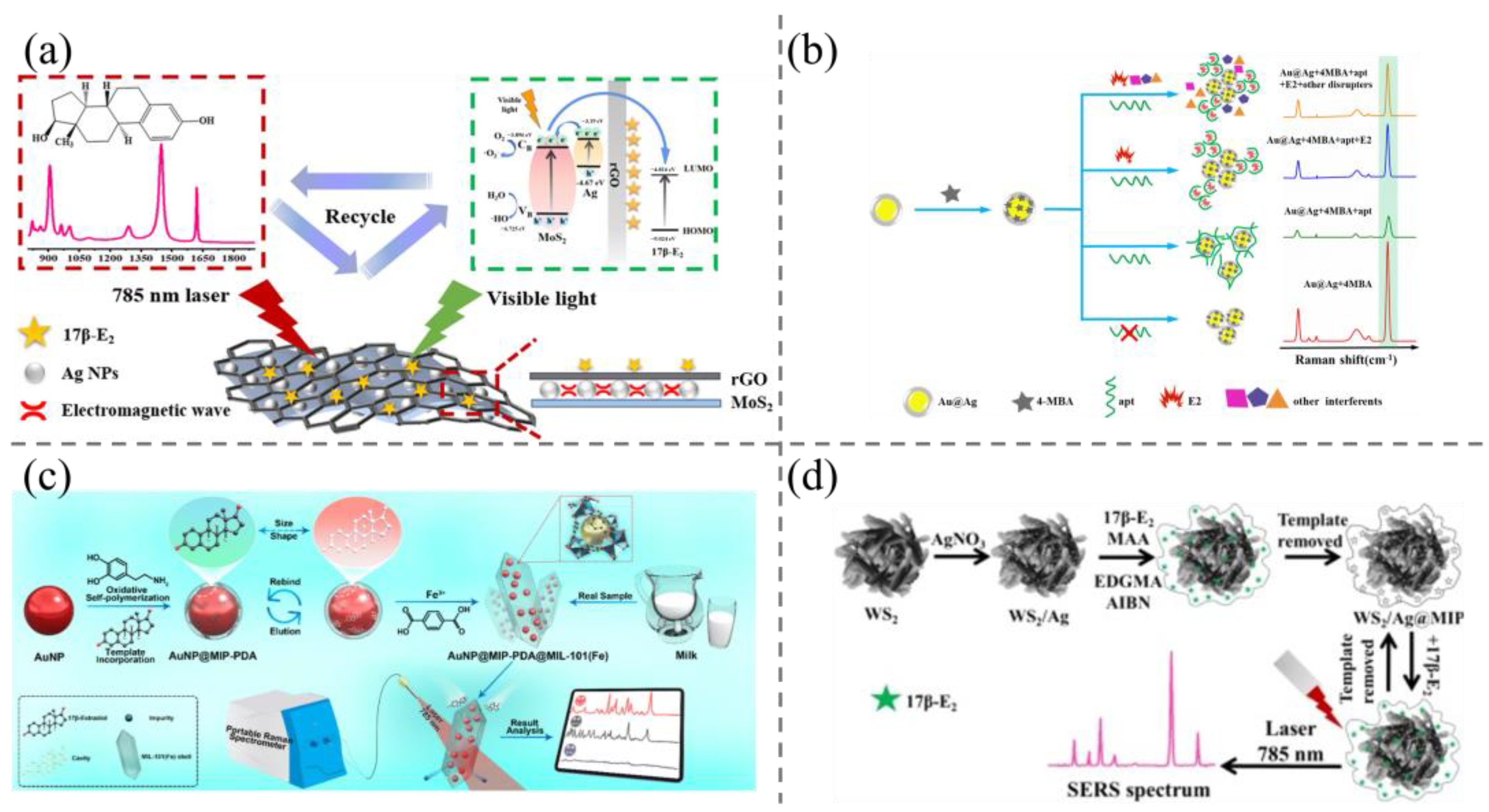 Biosensors 15 00216 g005