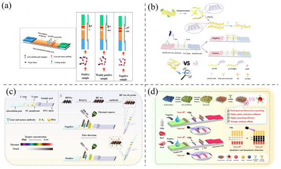 Biosensors 15 00216 g006