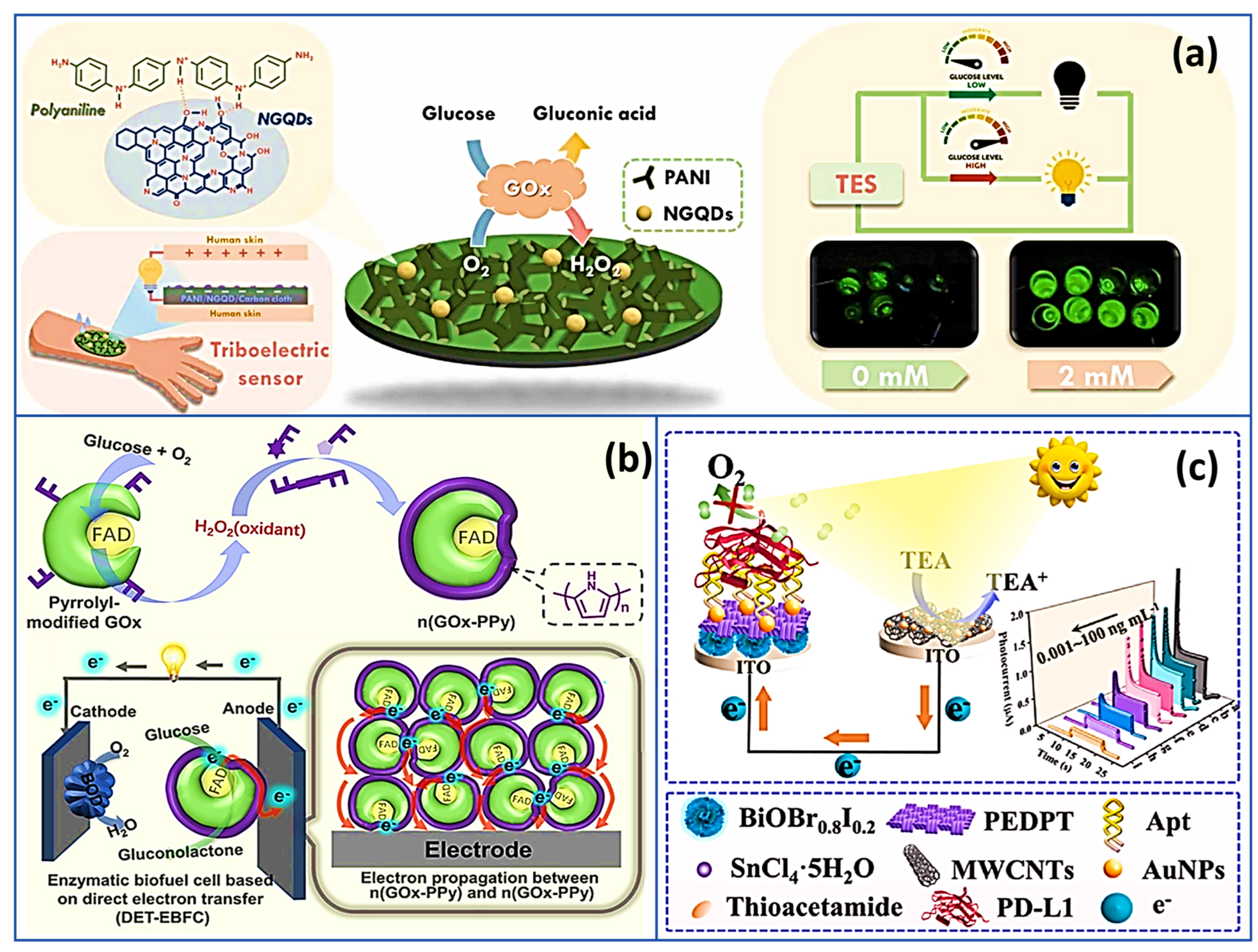 Recent Advances in Enzymatic Biofuel Cells to Power Up Wearable and ...