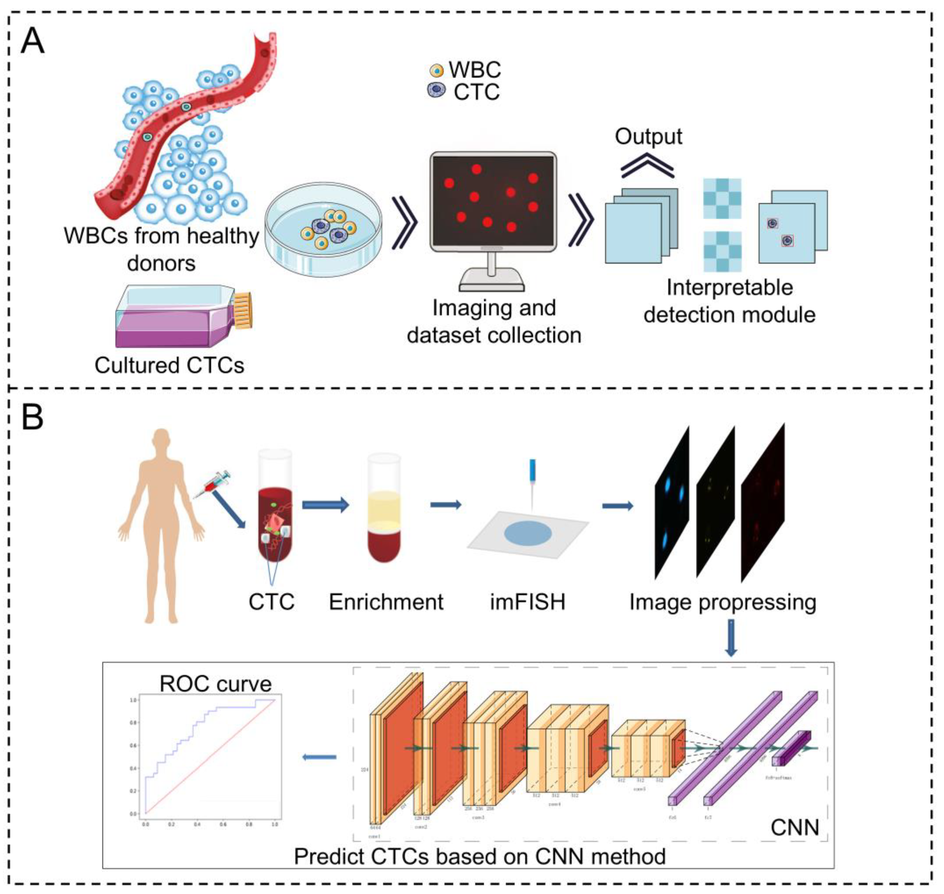 Advancements in Circulating Tumor Cell Detection for Early Cancer ...
