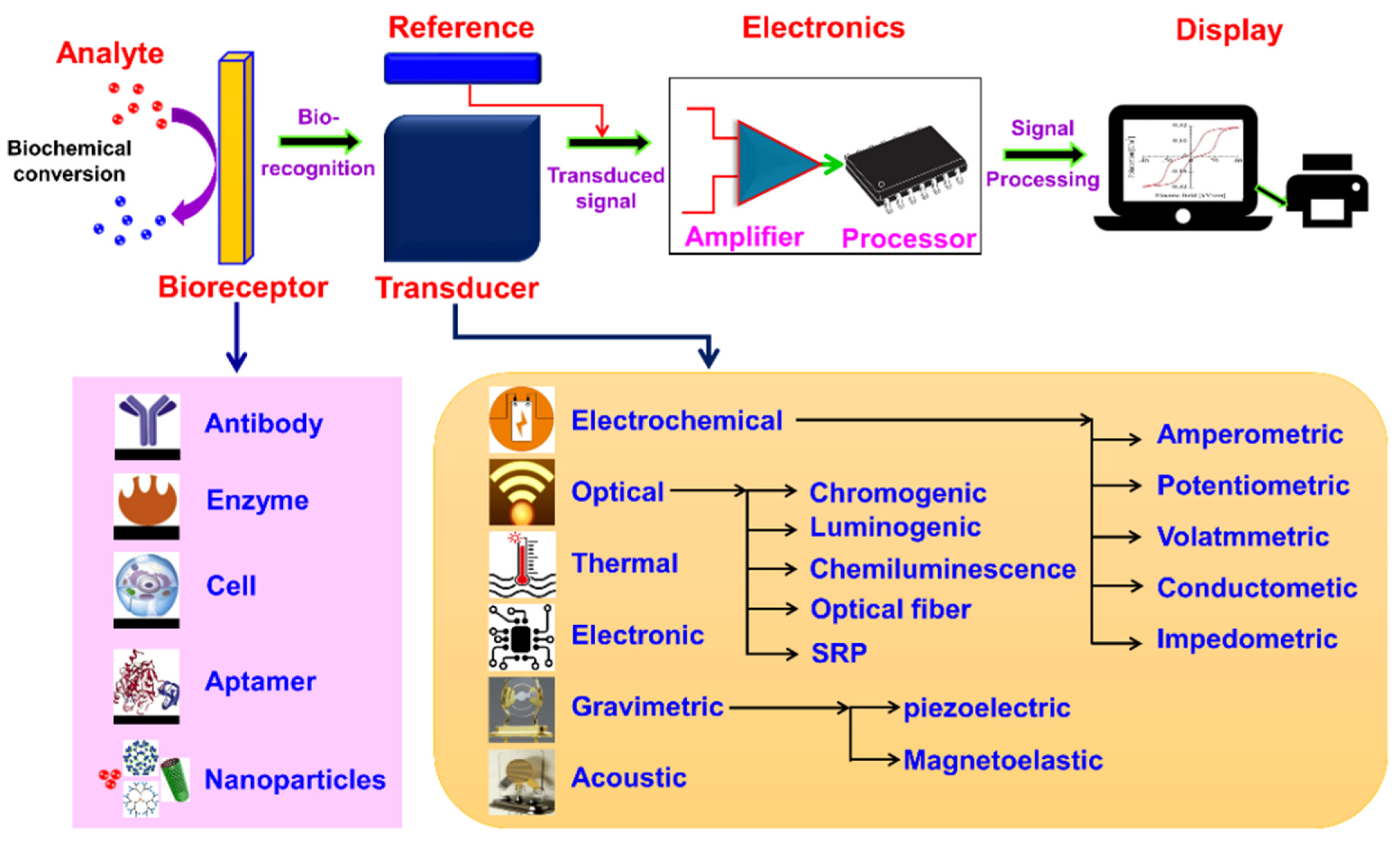 Biosensors 15 00222 g004