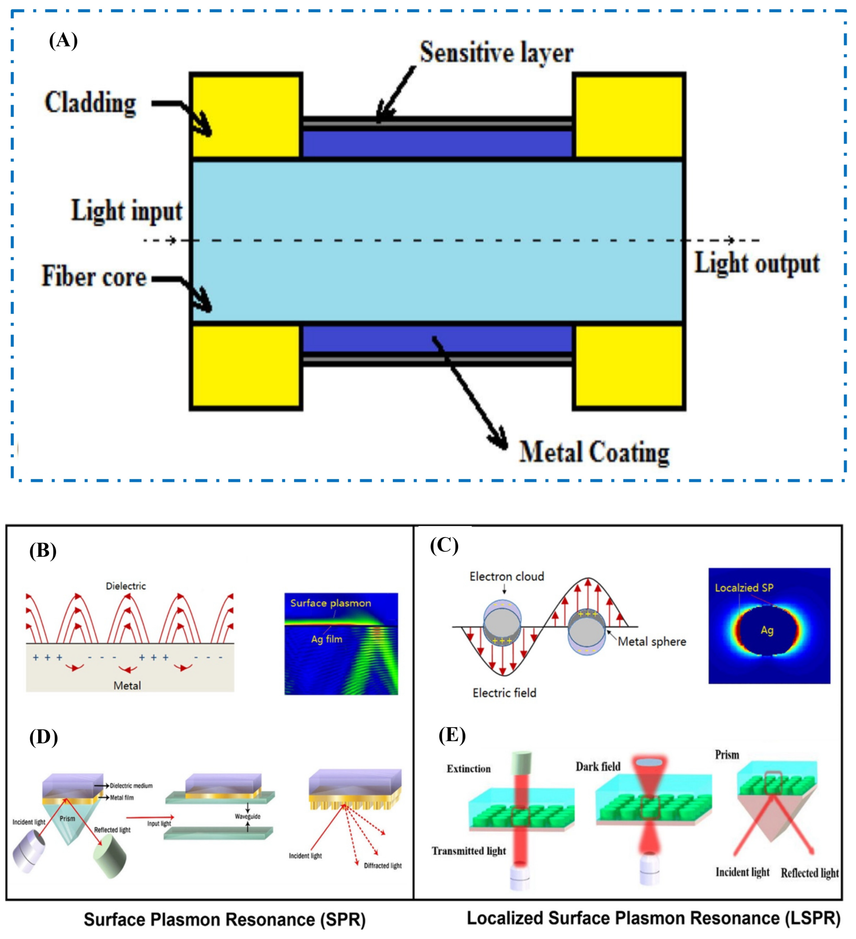 Biosensors 15 00222 g006