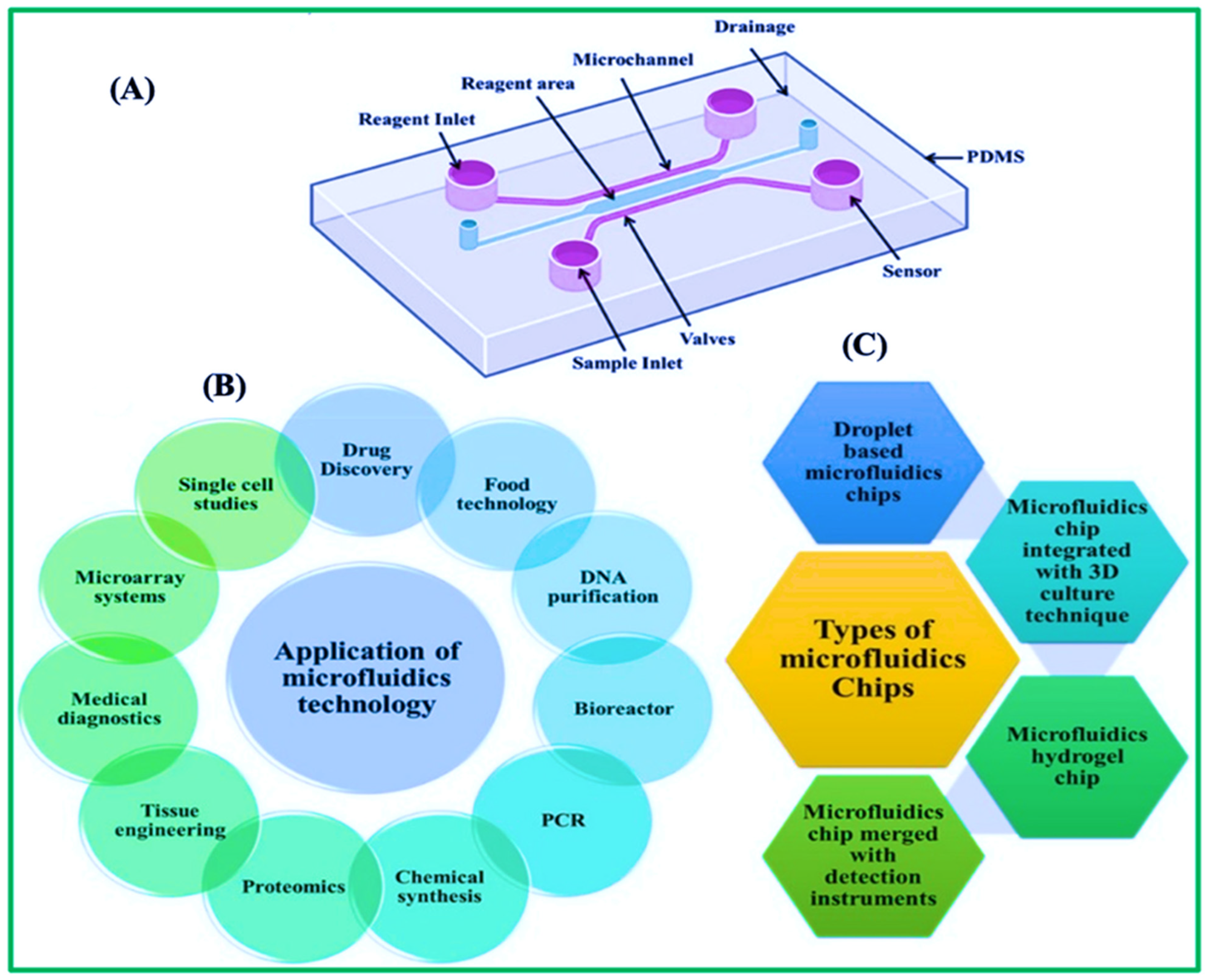 Biosensors 15 00222 g009