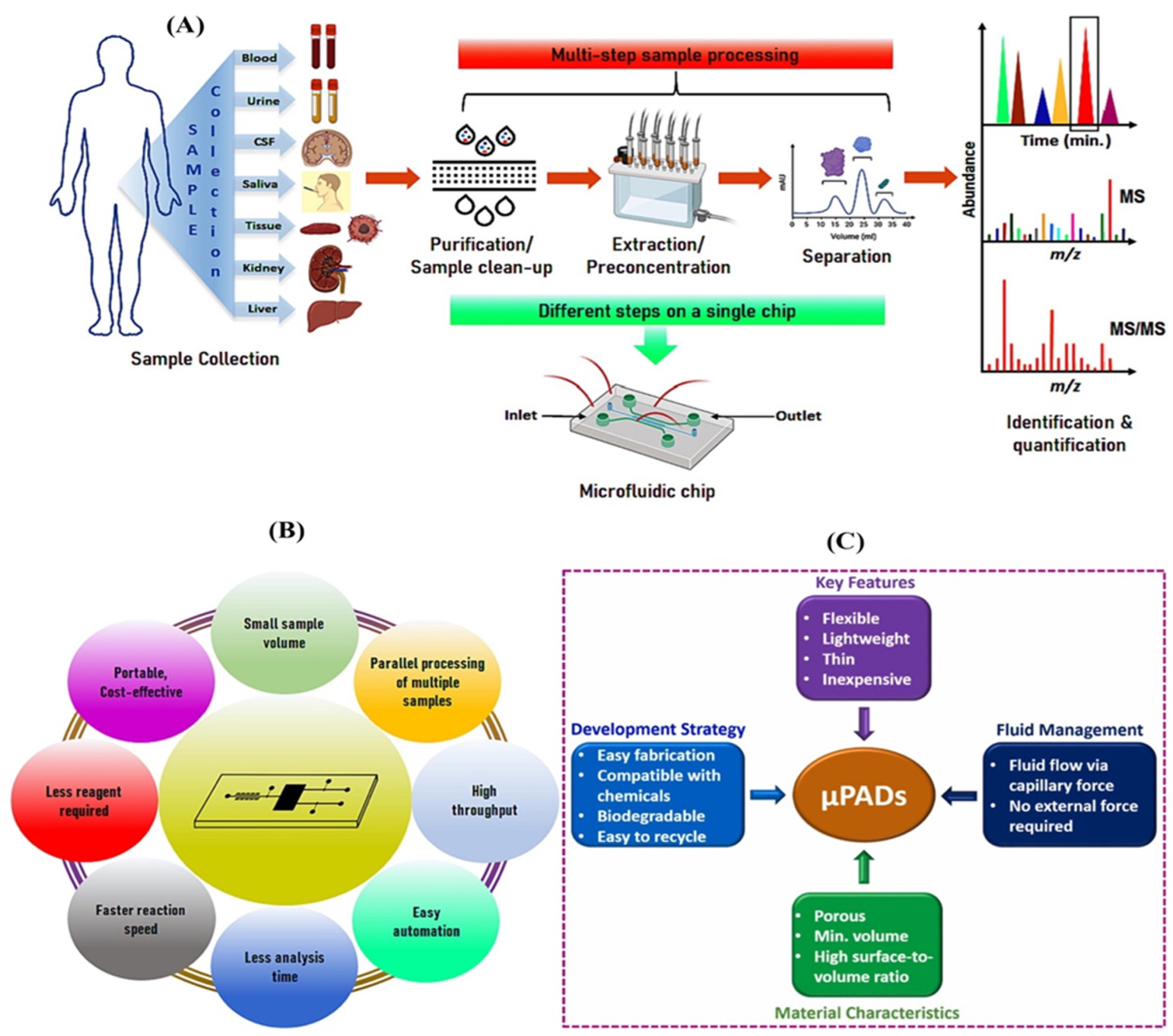 Biosensors 15 00222 g010