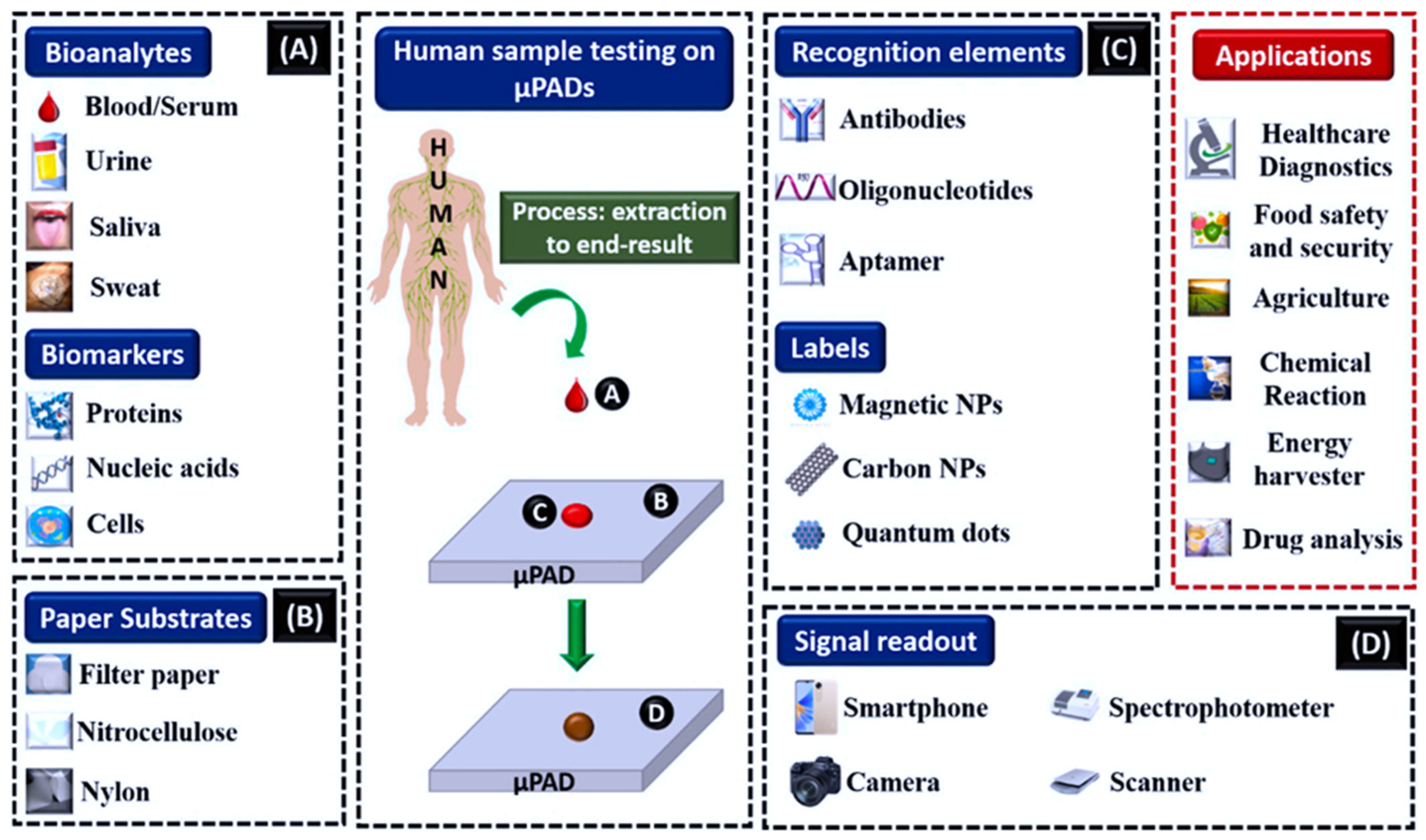 Biosensors 15 00222 g011
