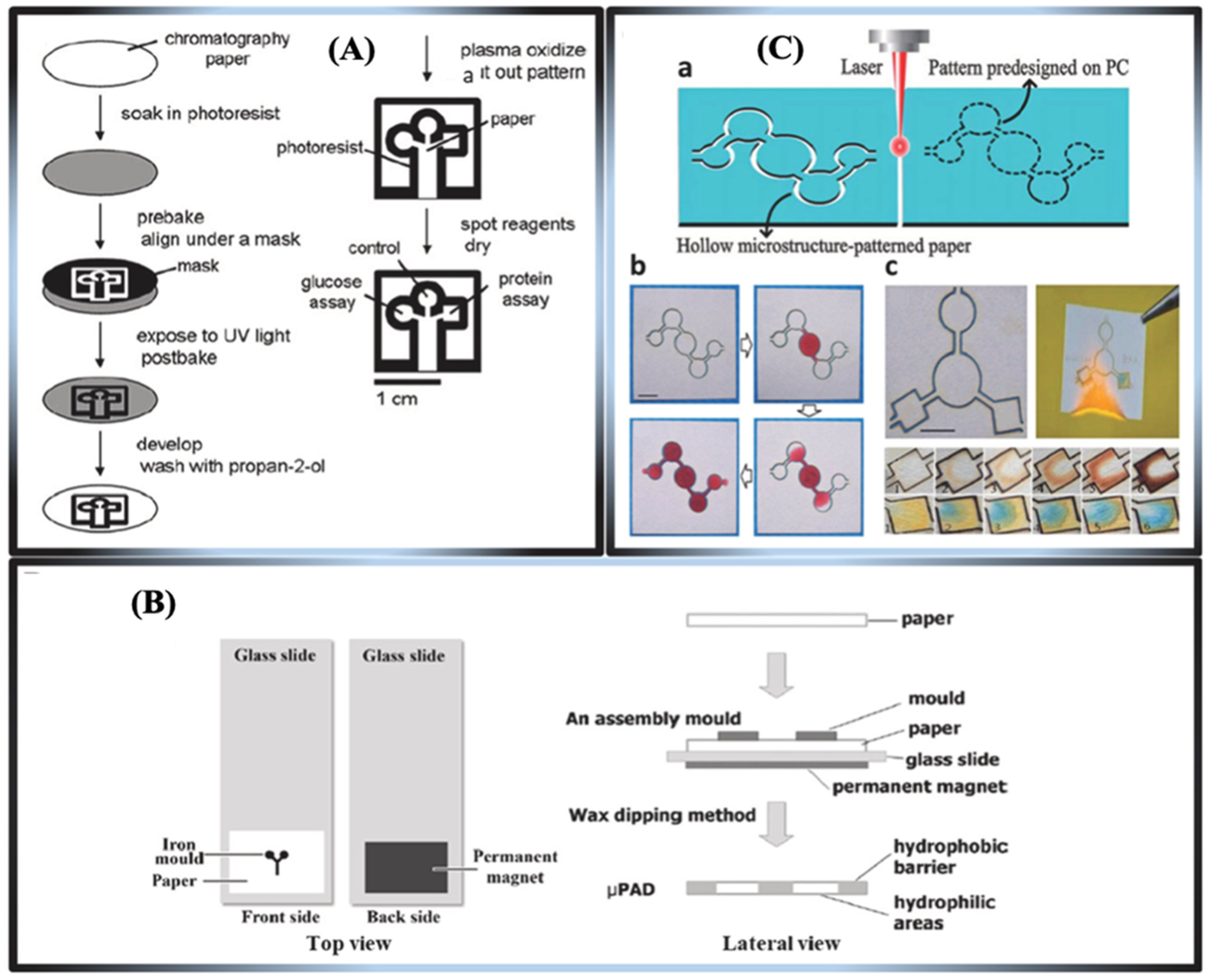 Biosensors 15 00222 g013