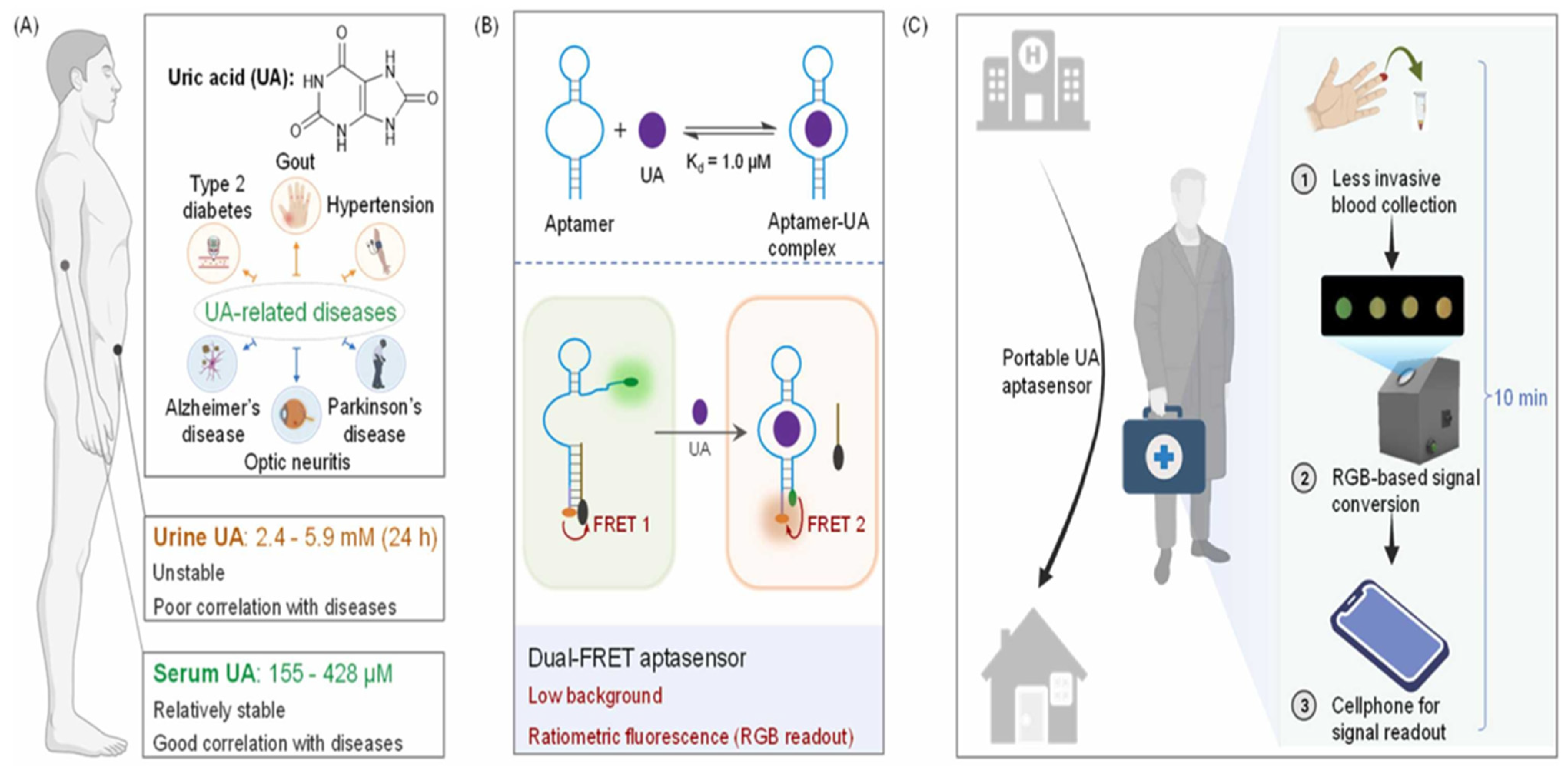 Biosensors 15 00222 g016