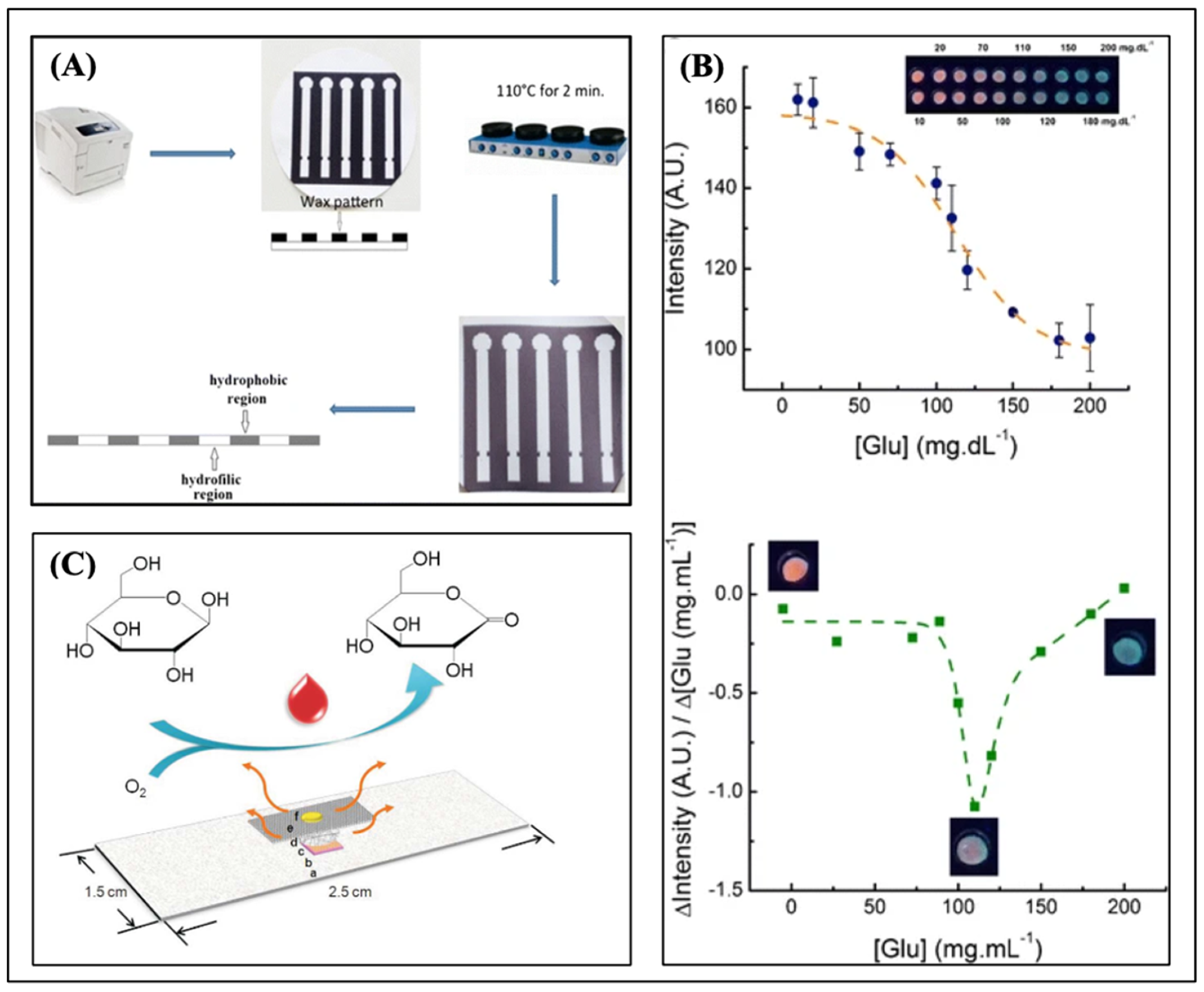 Biosensors 15 00222 g022