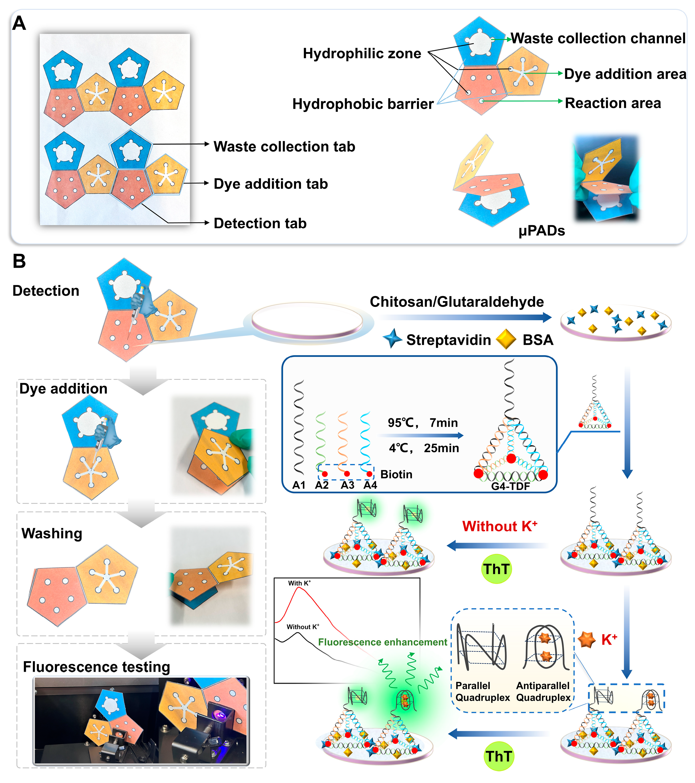 Biosensors 15 00223 g001