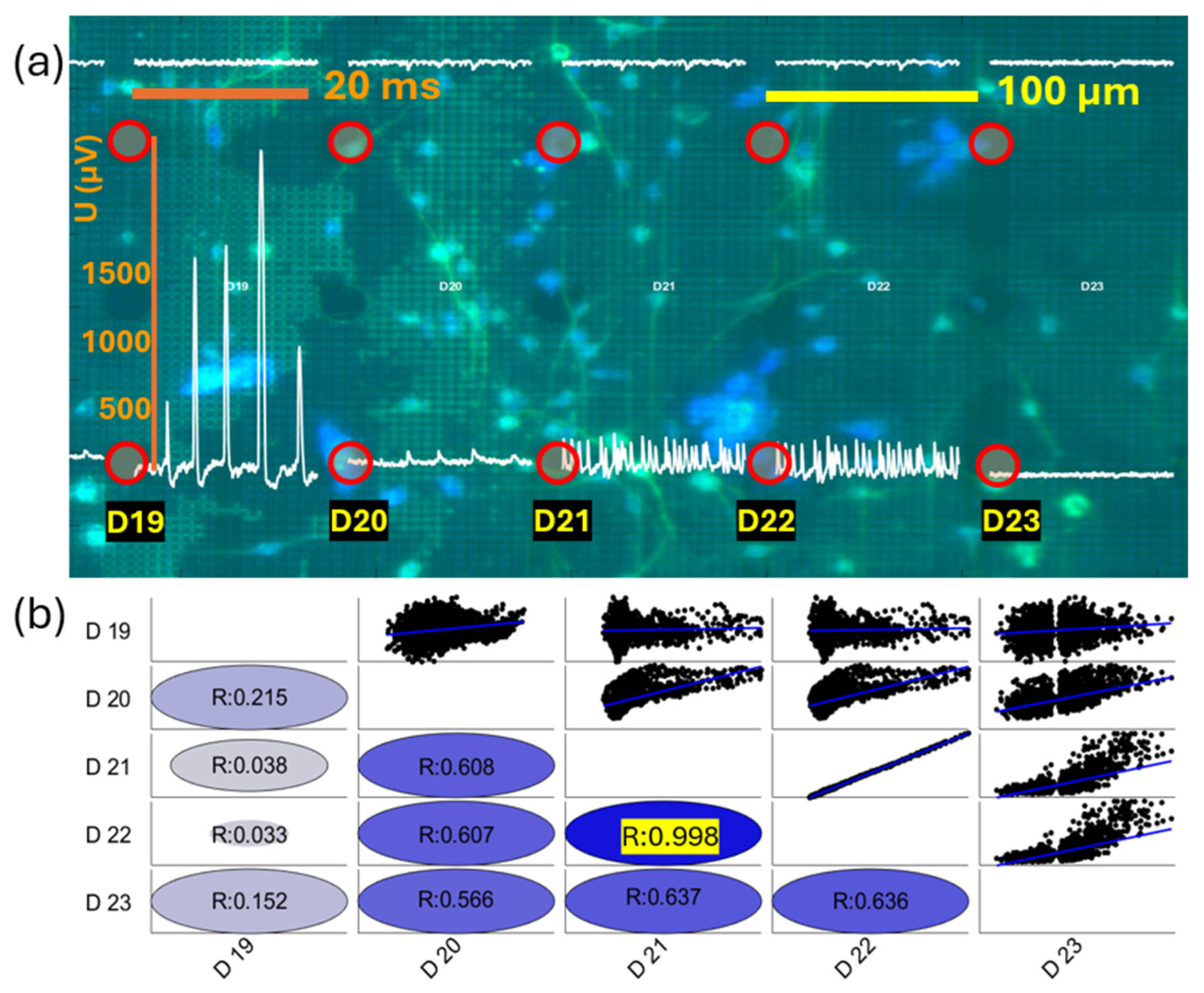Biosensors 15 00224 g010