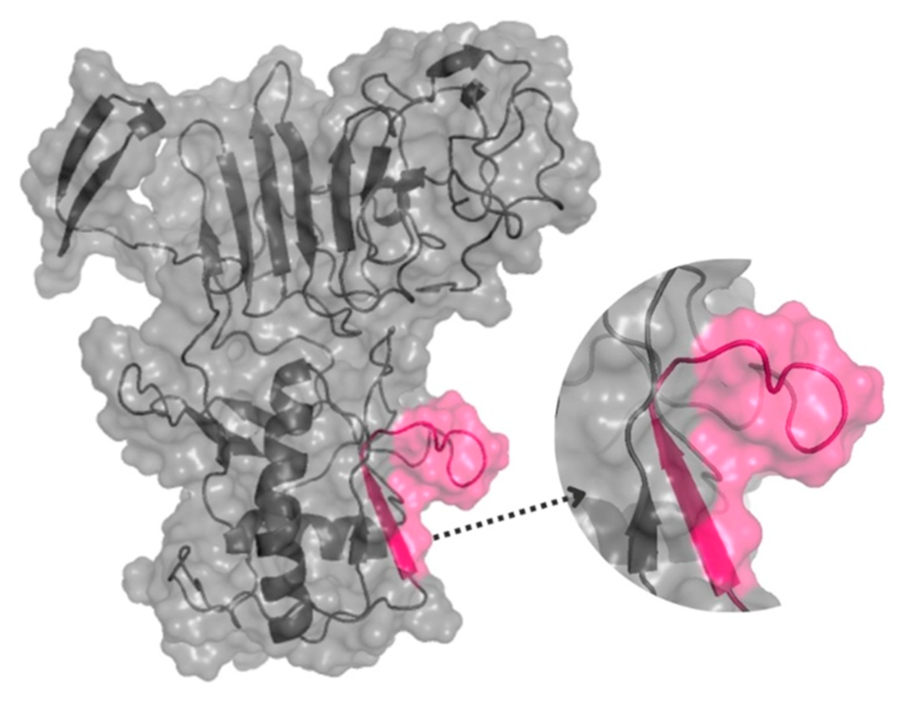 Biosensors 15 00236 g001