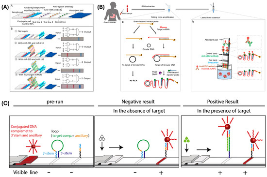 Biosensors 15 00238 g002